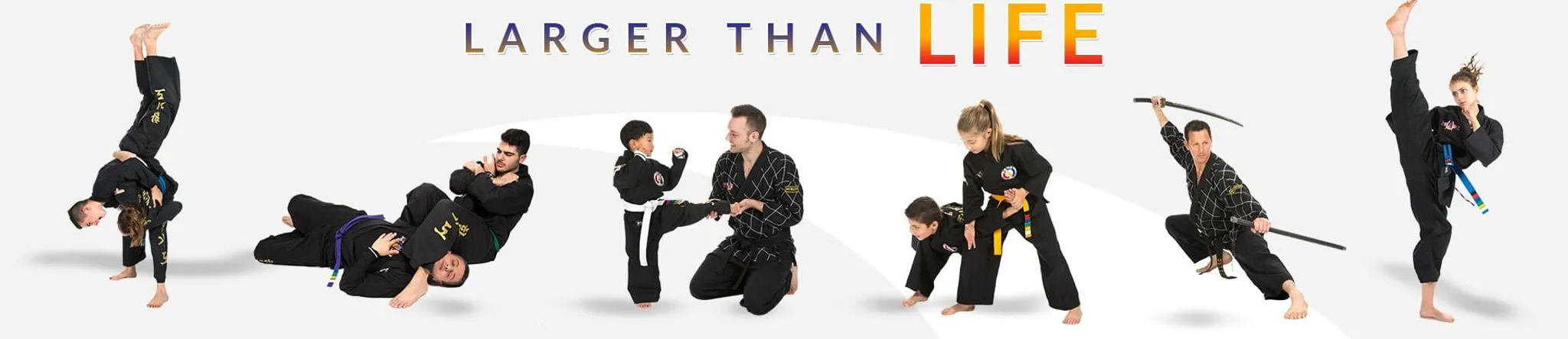 GIANT BJJ Grading Test