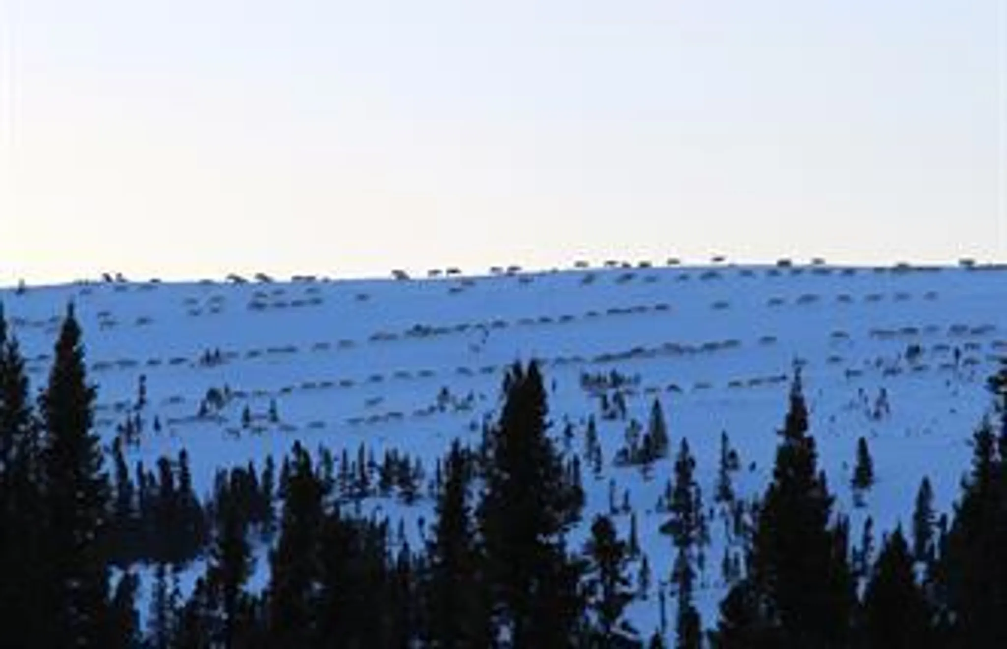 Weekend in Parc National des Pingualuit