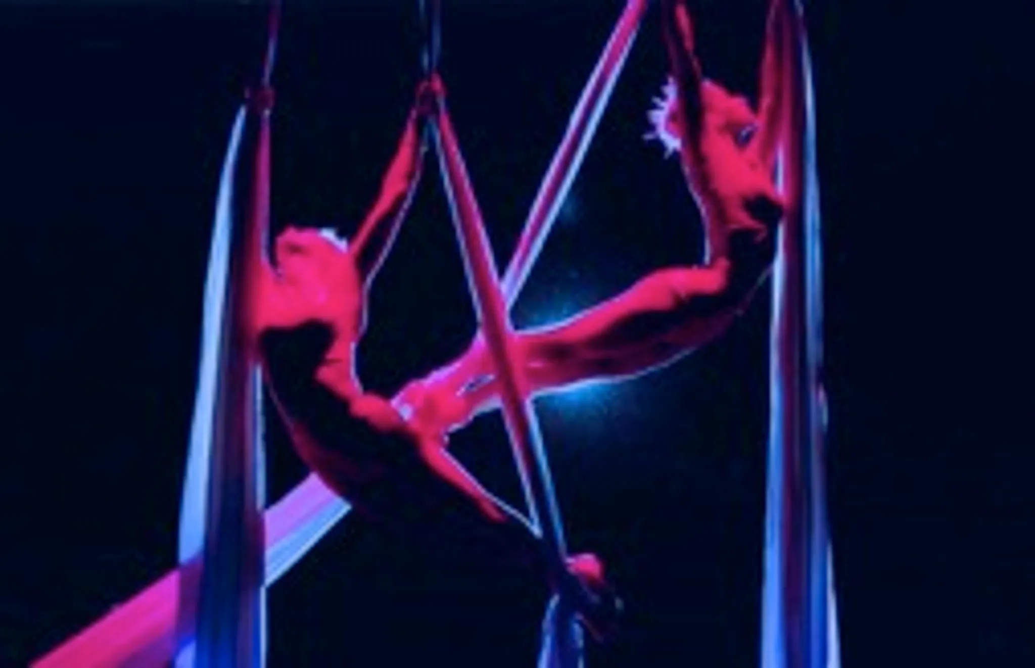 Walkabout Entertainment