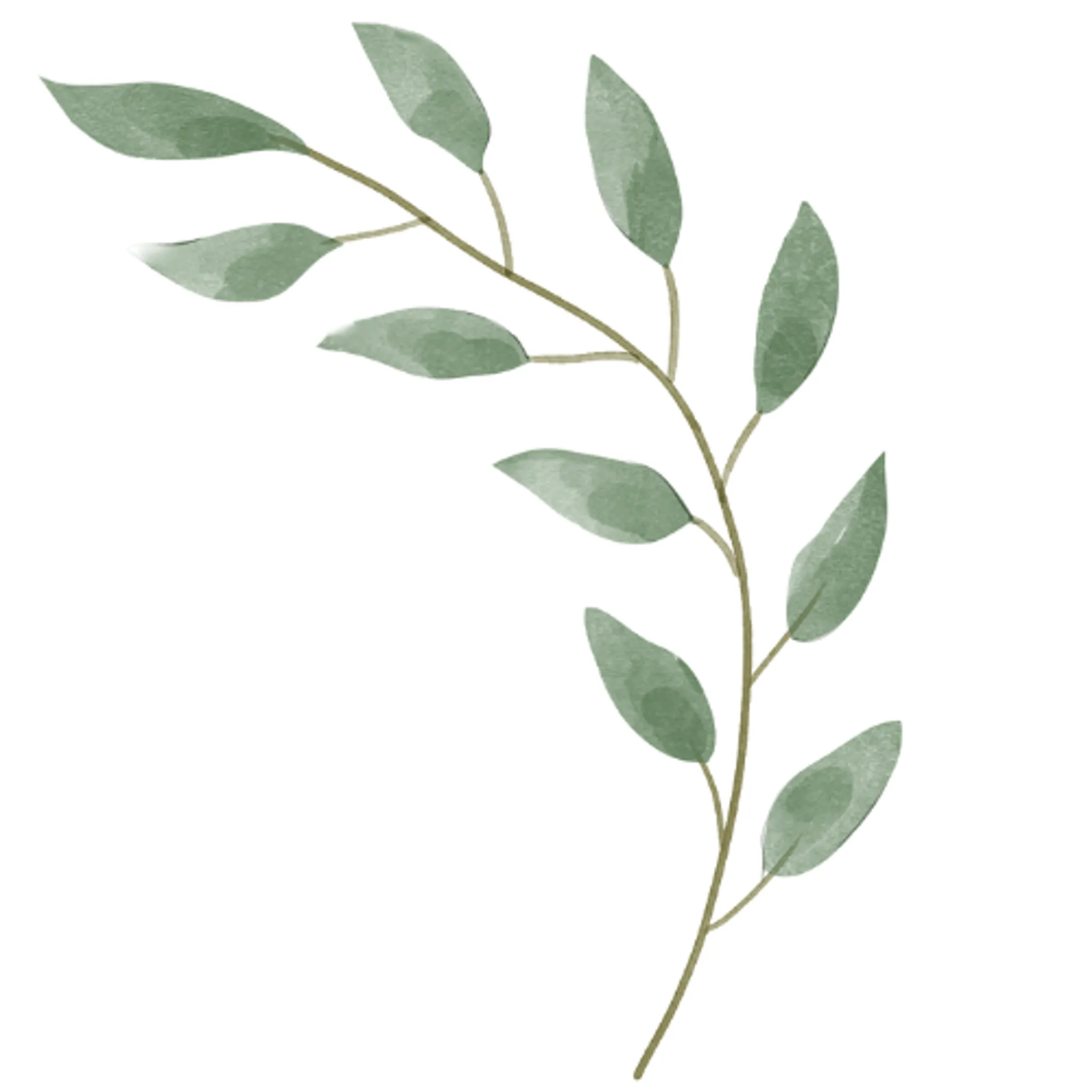 Elisabeth Masson Burkler - Accompagnante à la parentalité