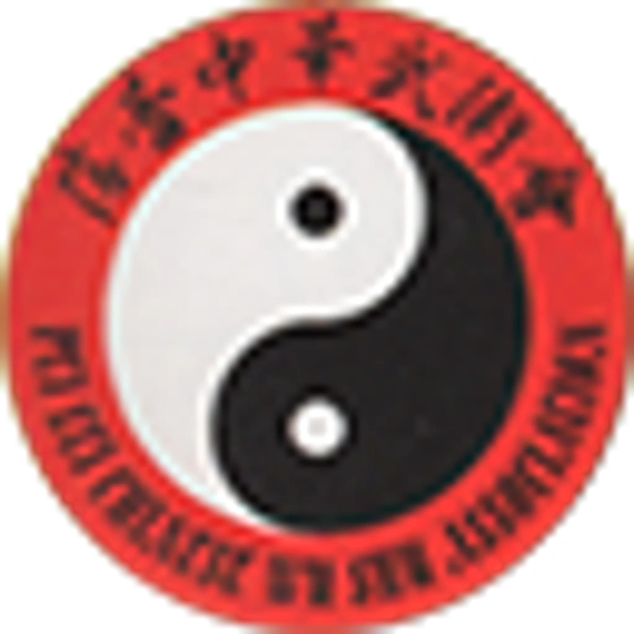 Pei Lei Wushu Association - Carlingford