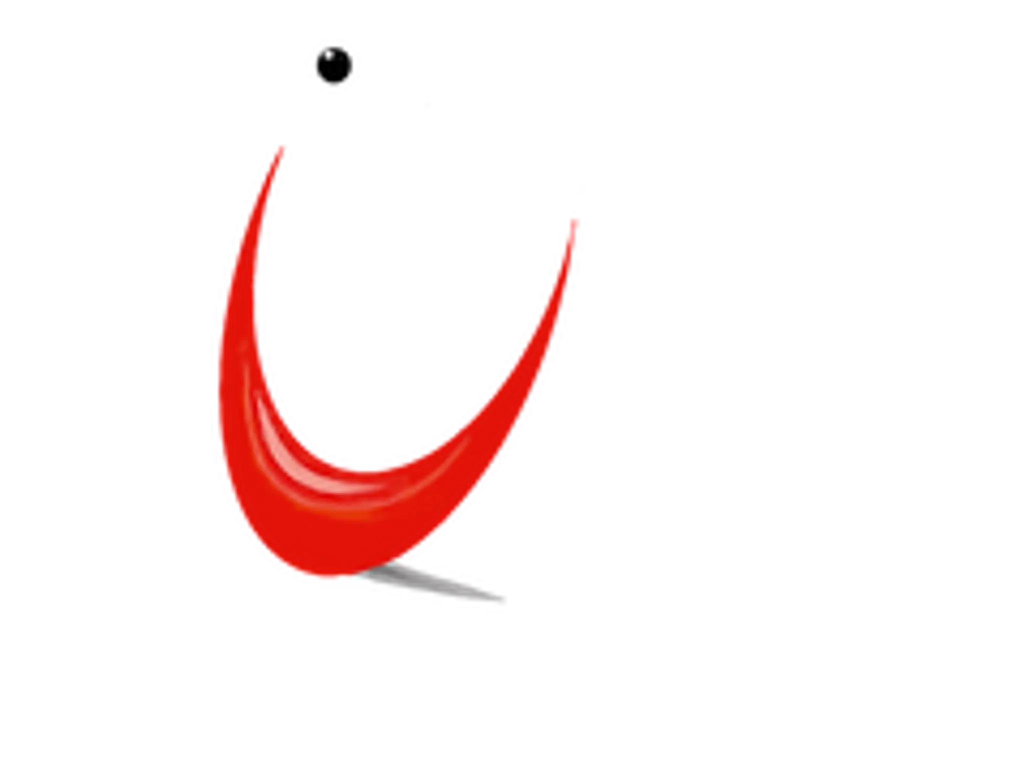 New Direction Studio