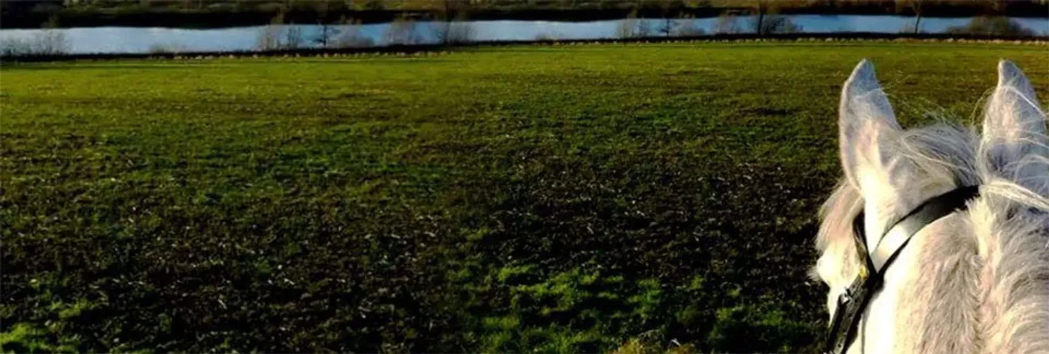 Park View Equestrian Centre