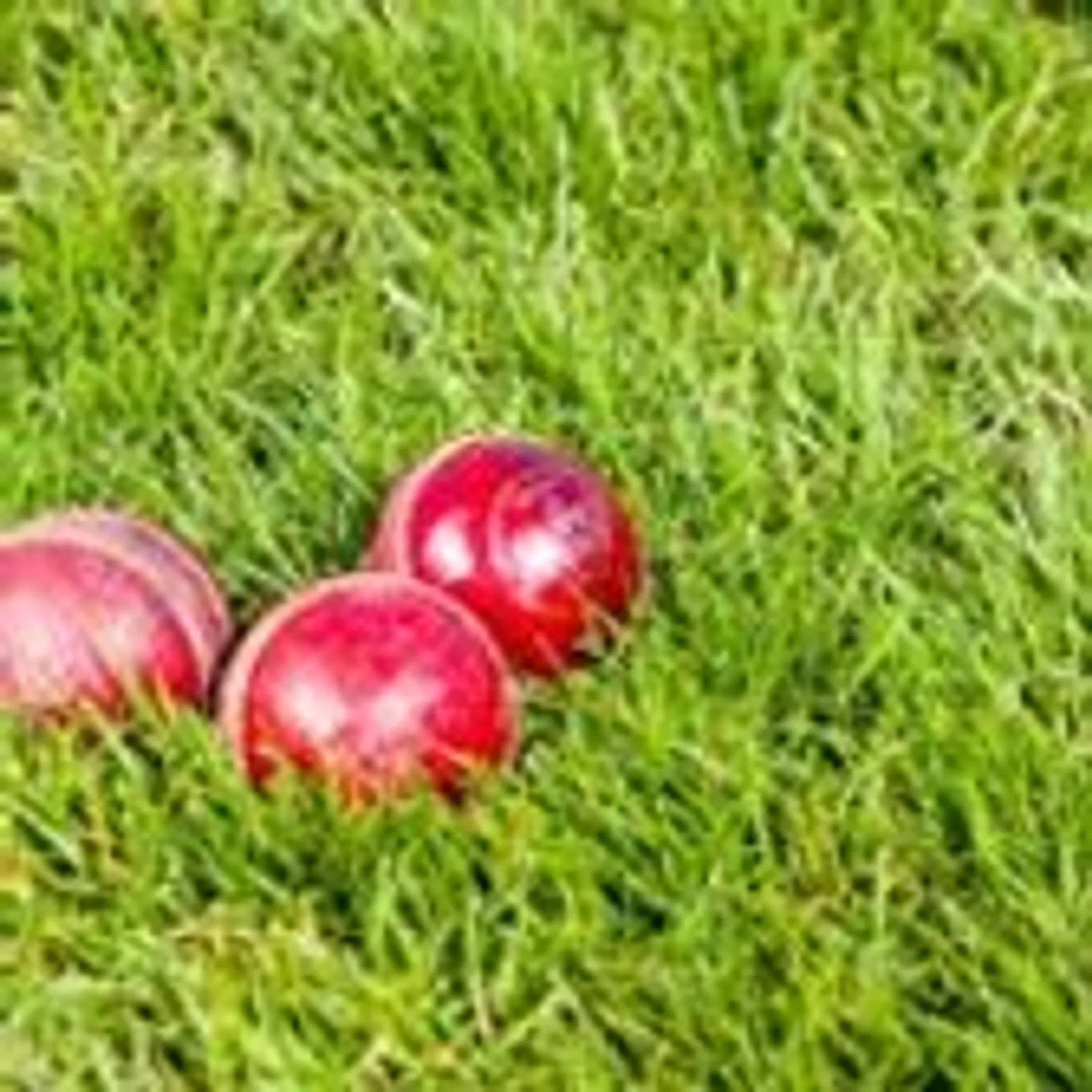 Plaxtol Cricket Club