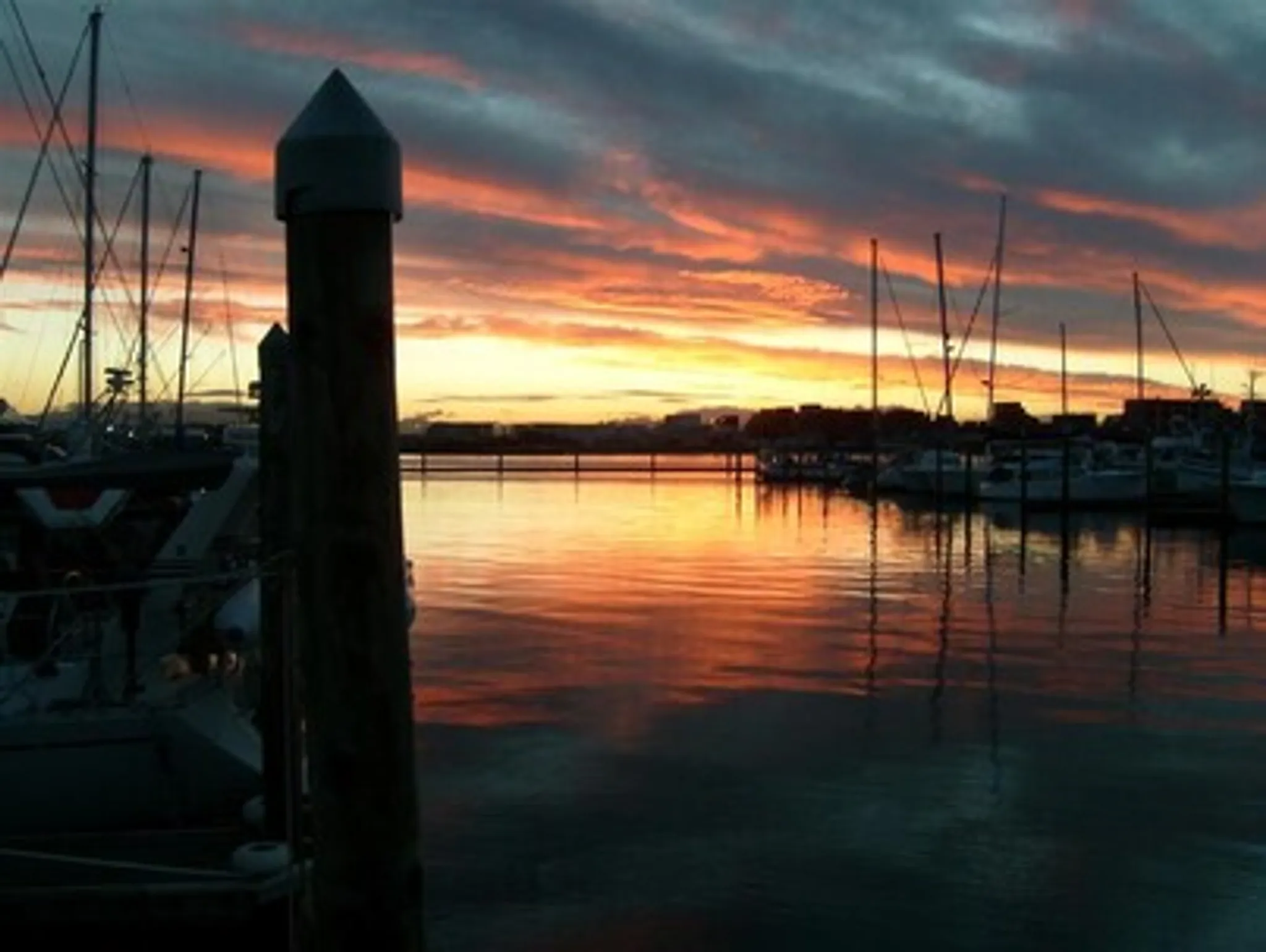 Tauranga Marine Charters