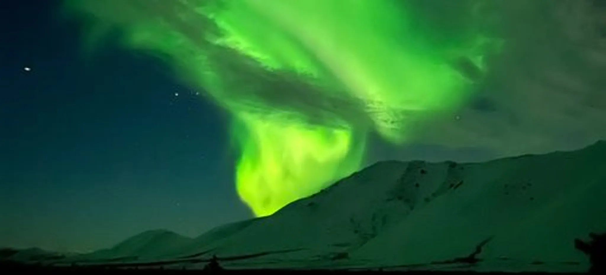 Caribou Wild Mountain Tours