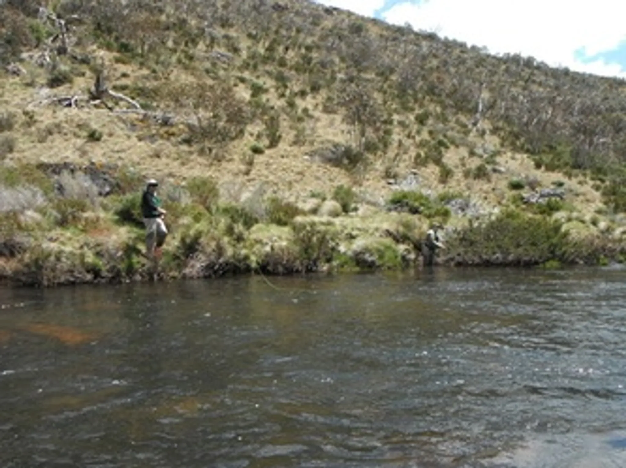 Wangaratta Fly Fishing Club Membership