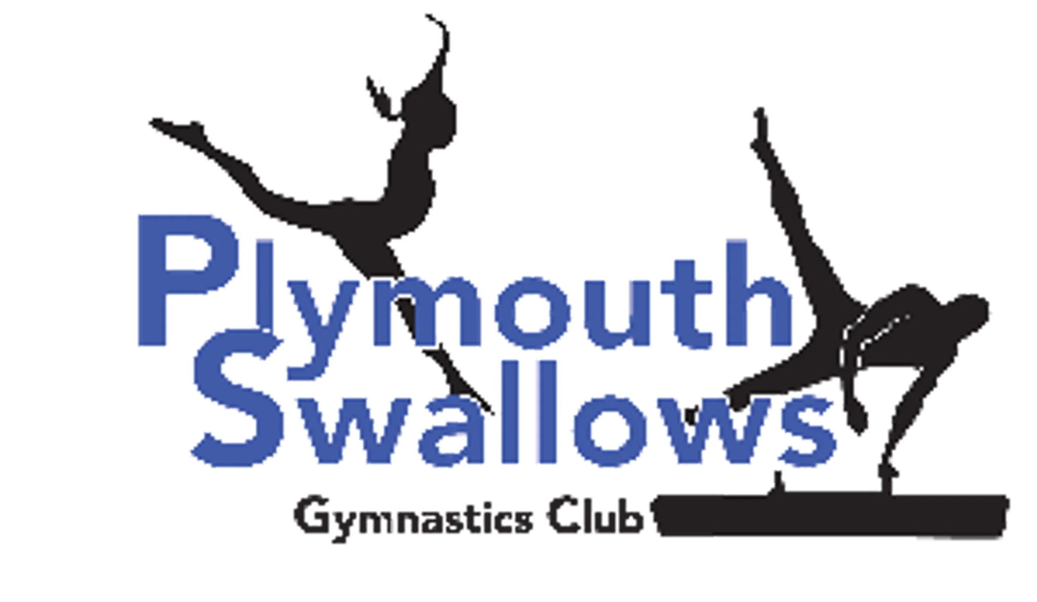 Plymouth Swallows School Of Gymnastics