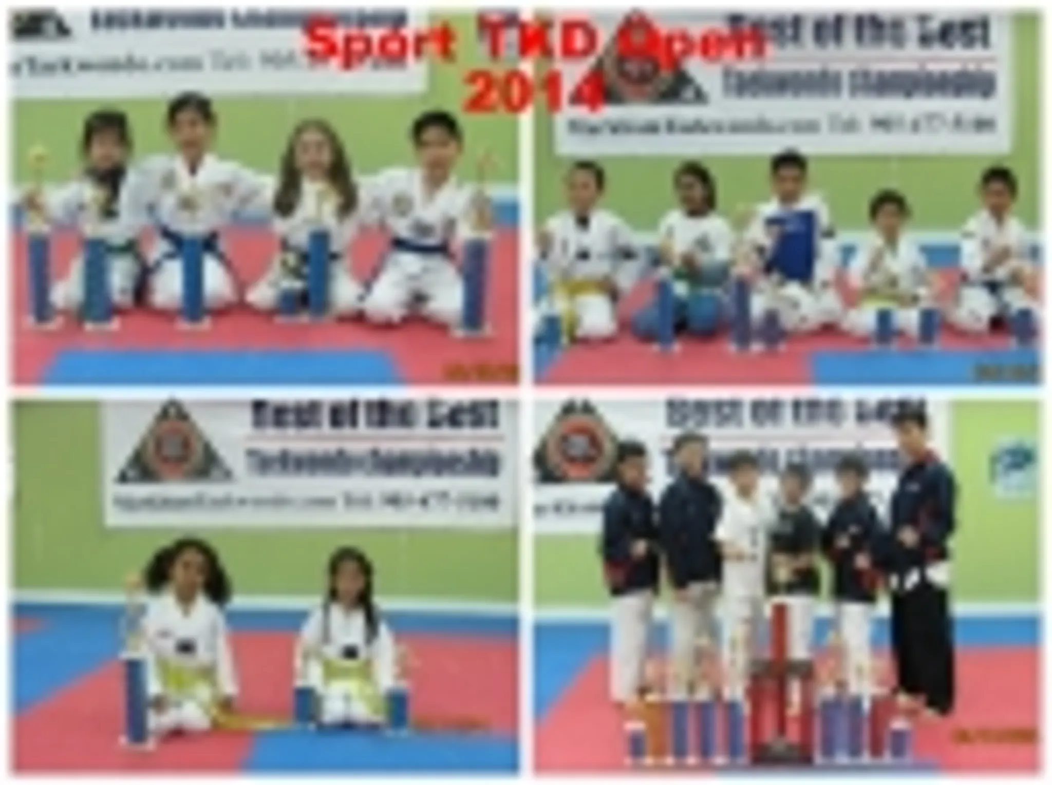 Markham Taekwondo Academy