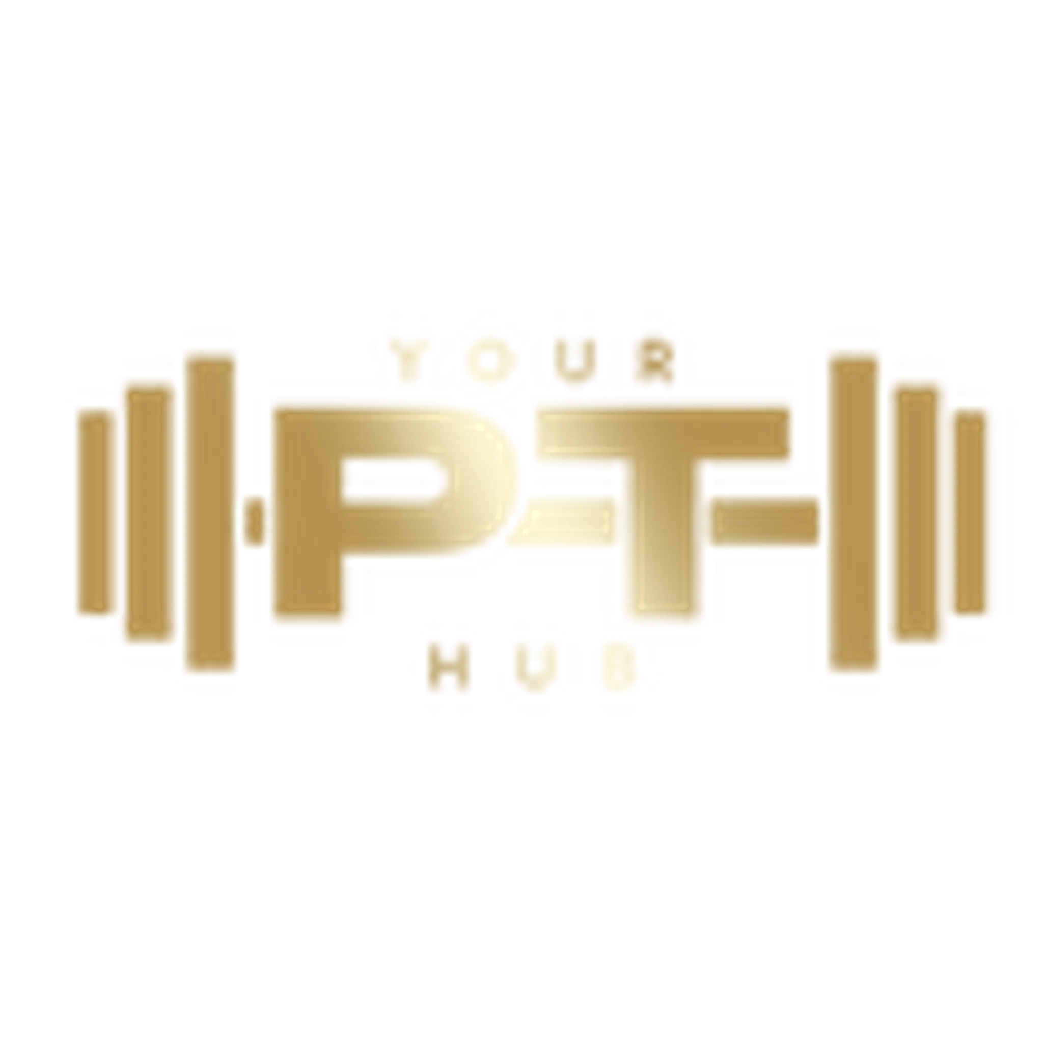 Your PT Hub