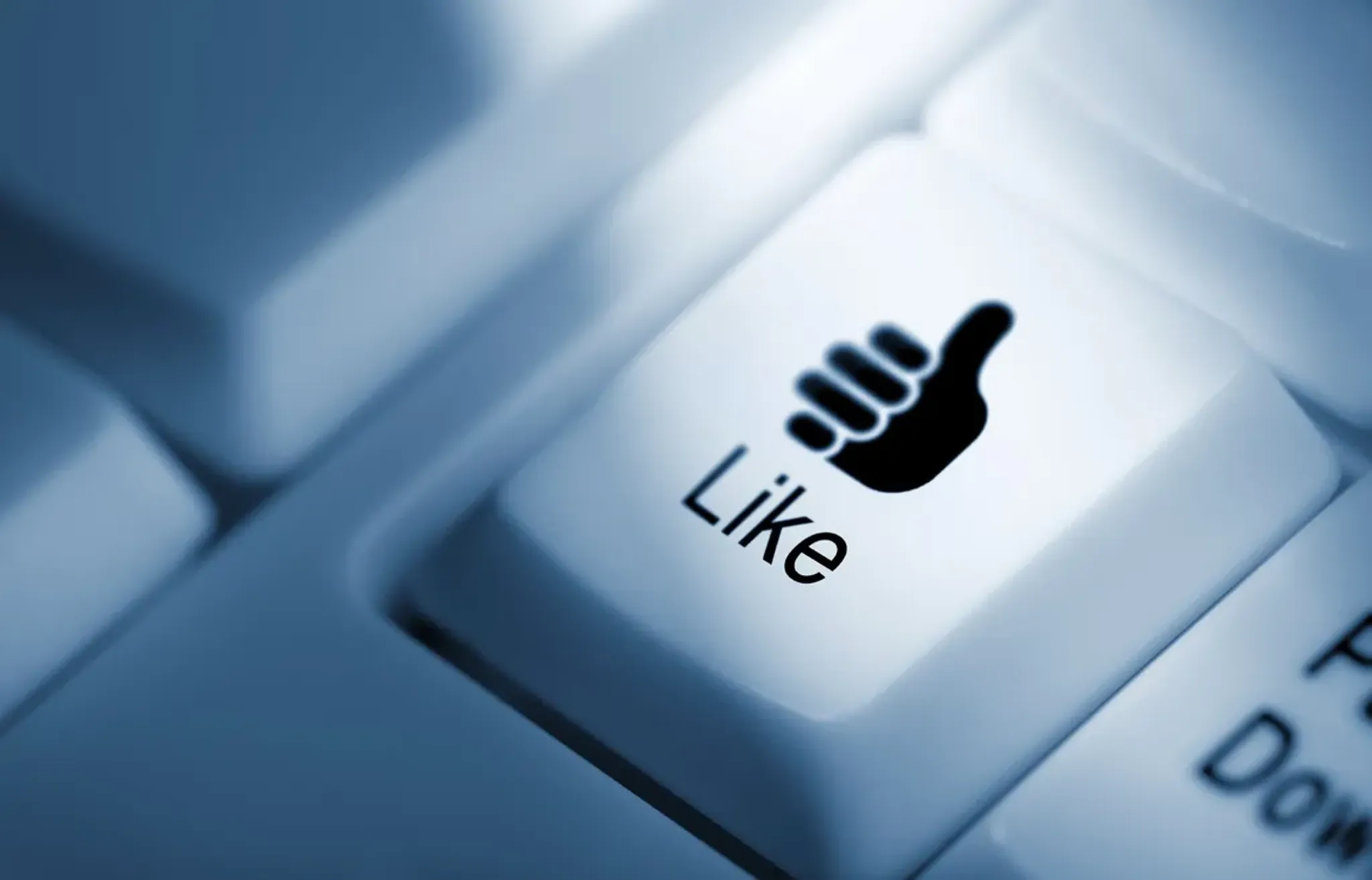 Fanatical Fly Fishing