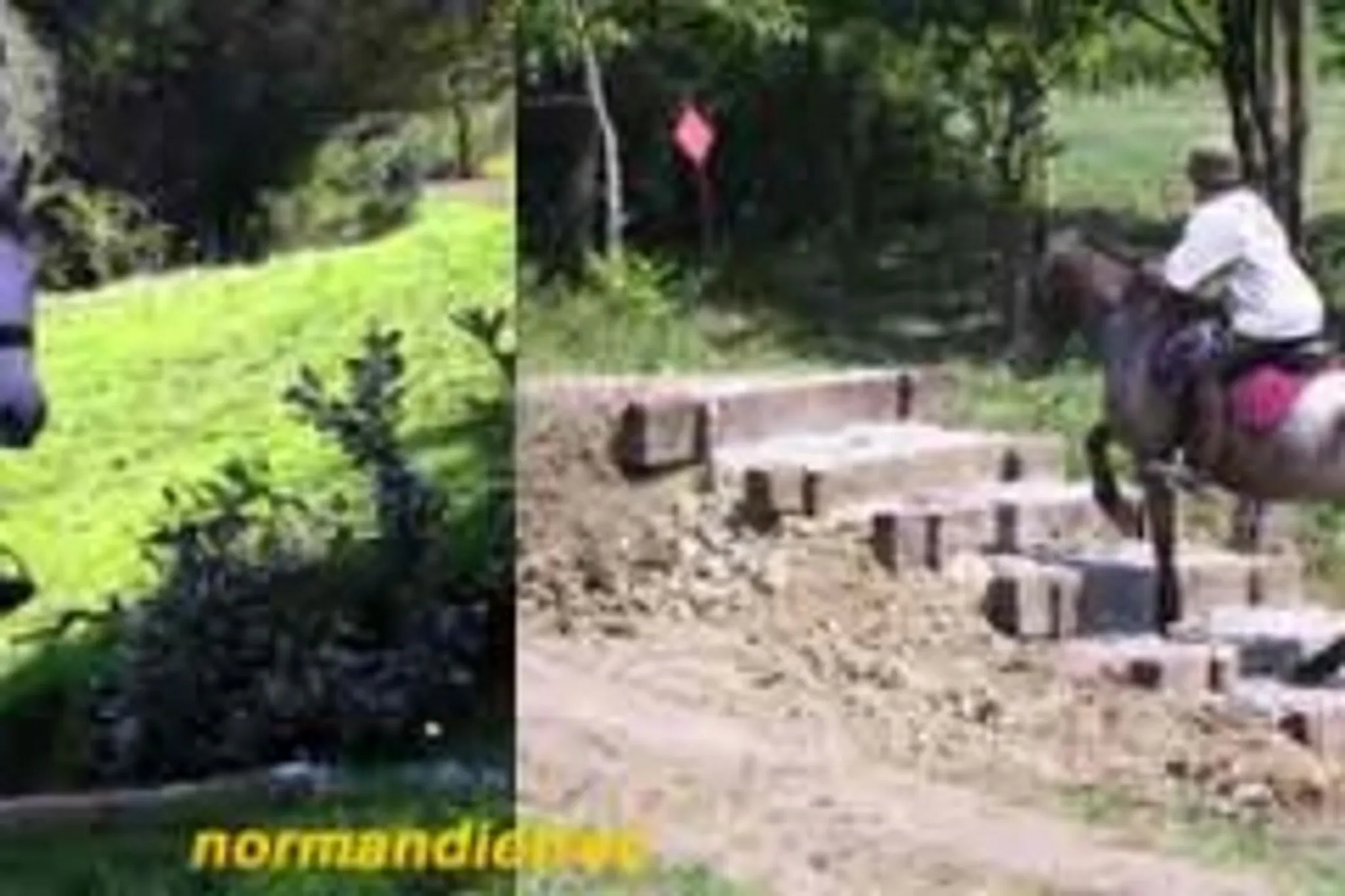 Stage de Topographie TREC