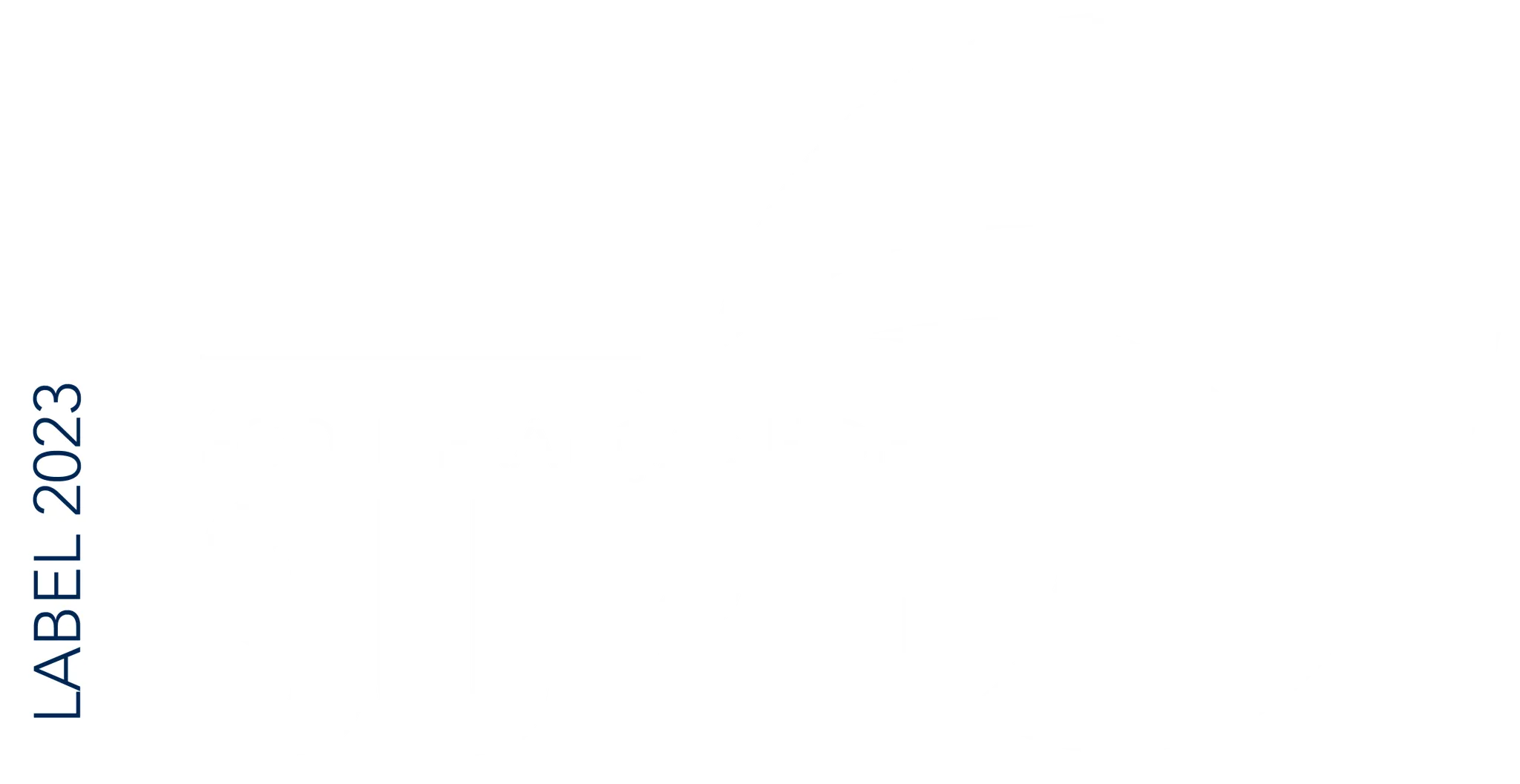 Tiki Surf School Labenne