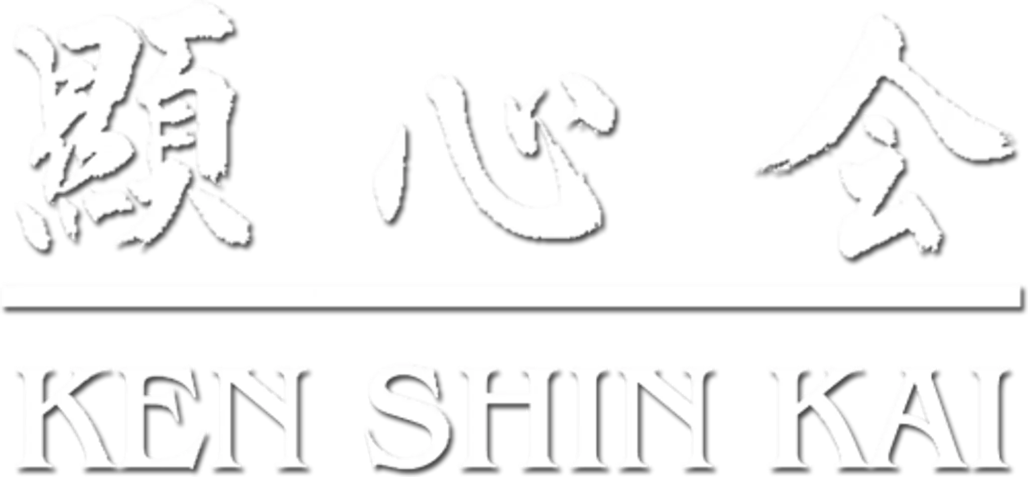 Ken Shin Kai