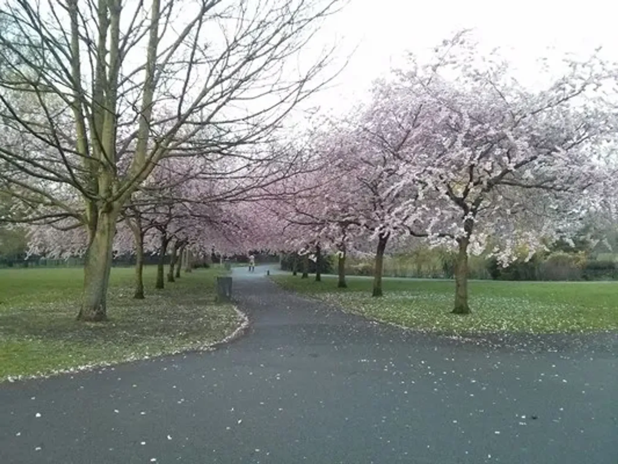 The Ravens A Group Exercise Class