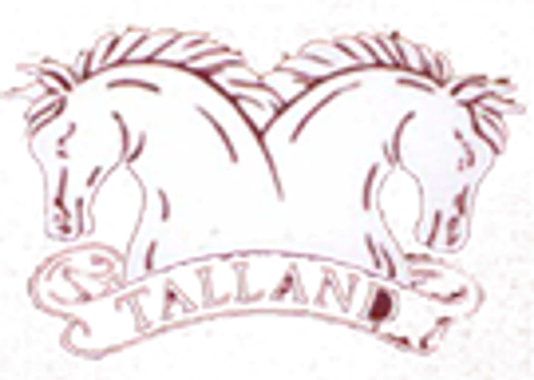 The Talland School of Equitation