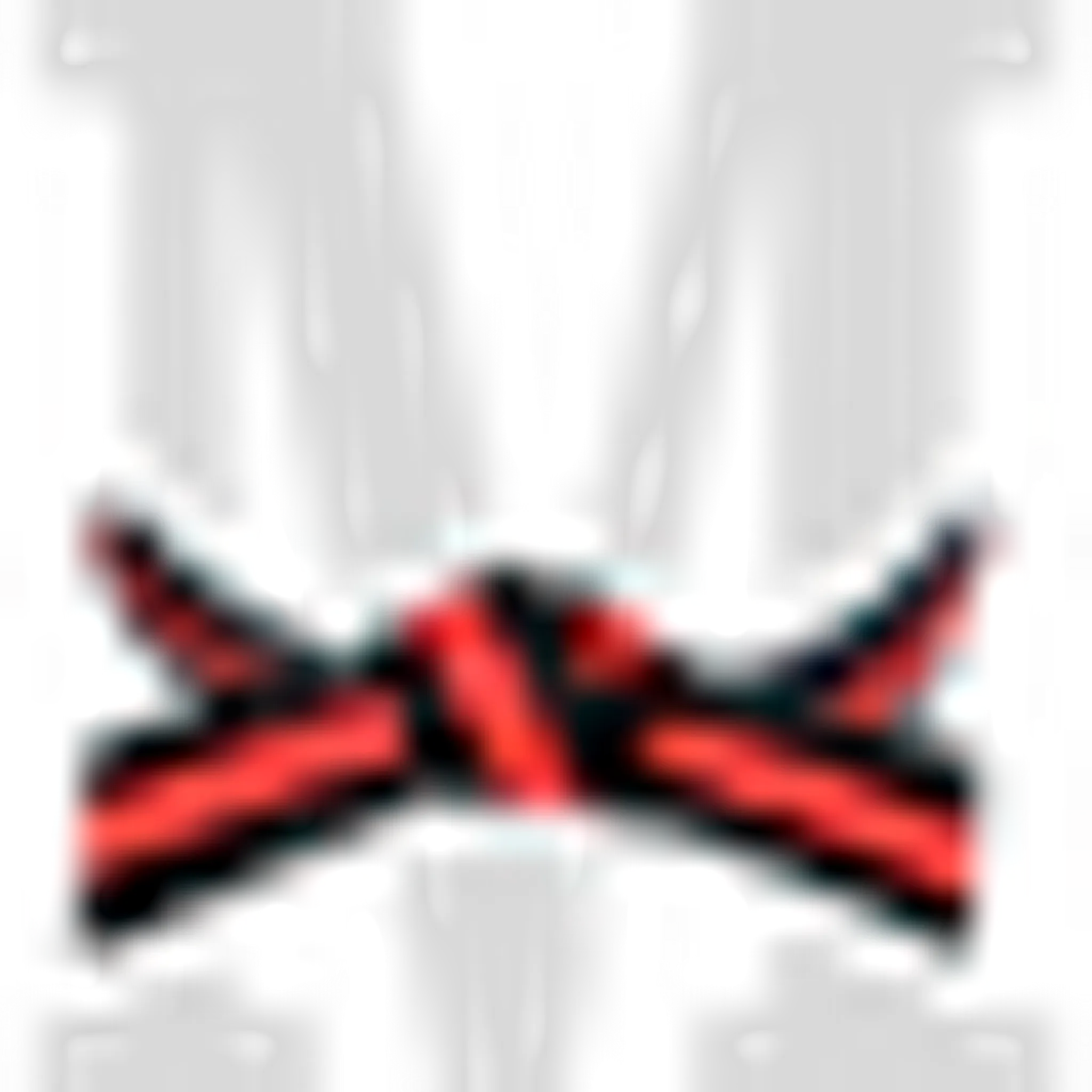 Master Martial Arts Academy