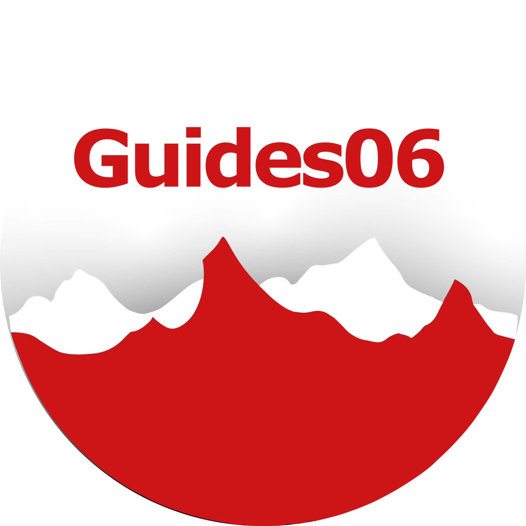 Guides 06