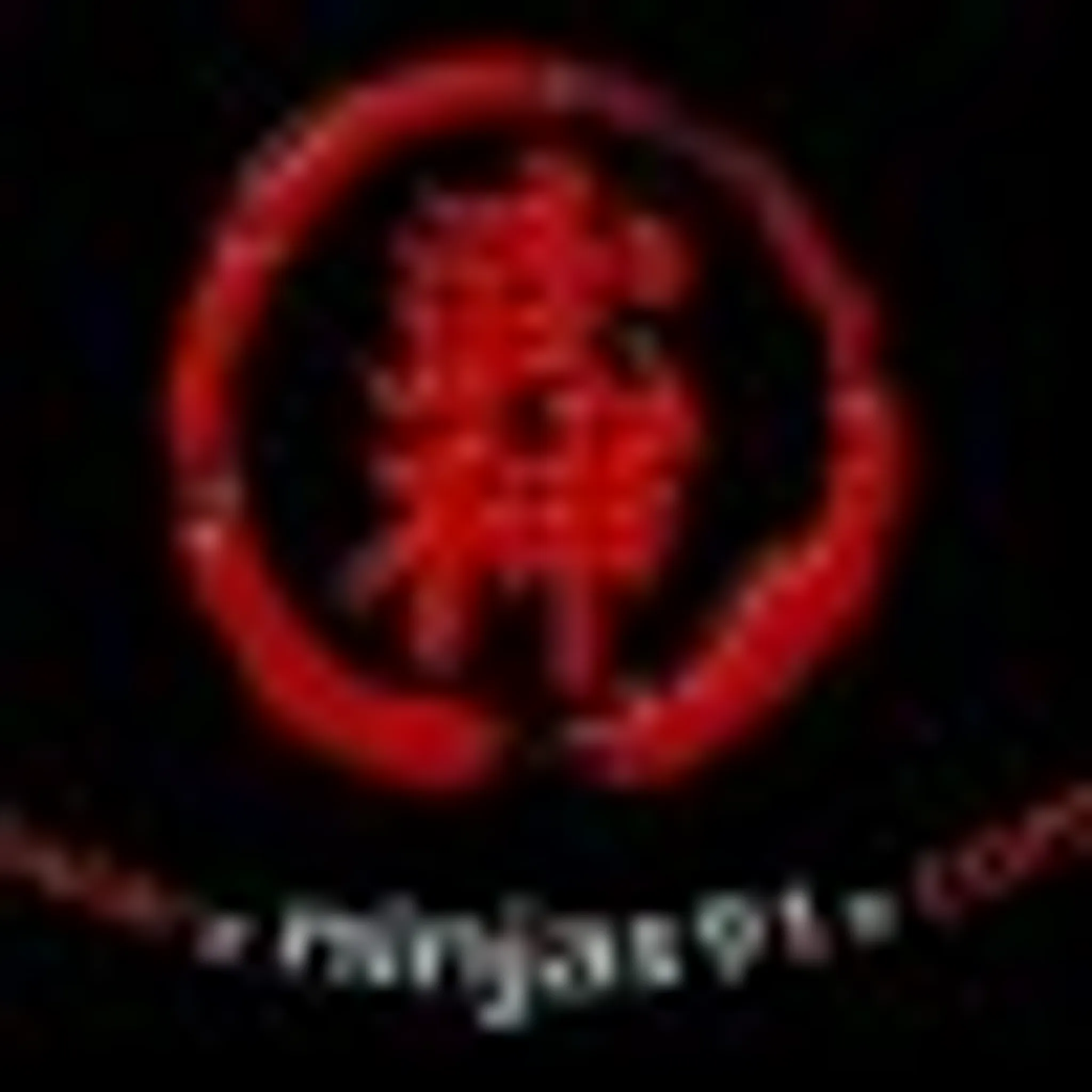 ninjutsu ninja bujinkan