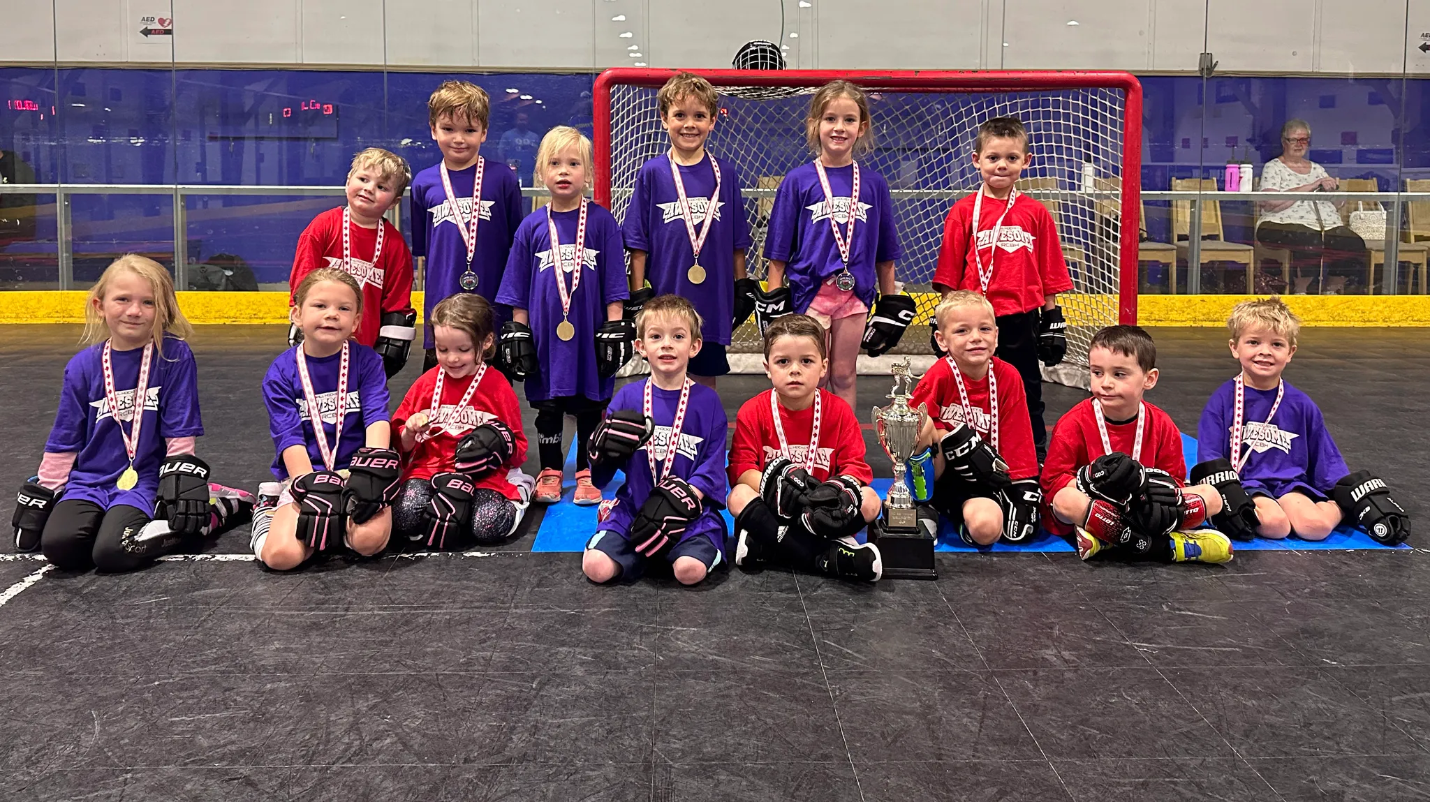 Youth Ball Hockey Leagues Spring Registration