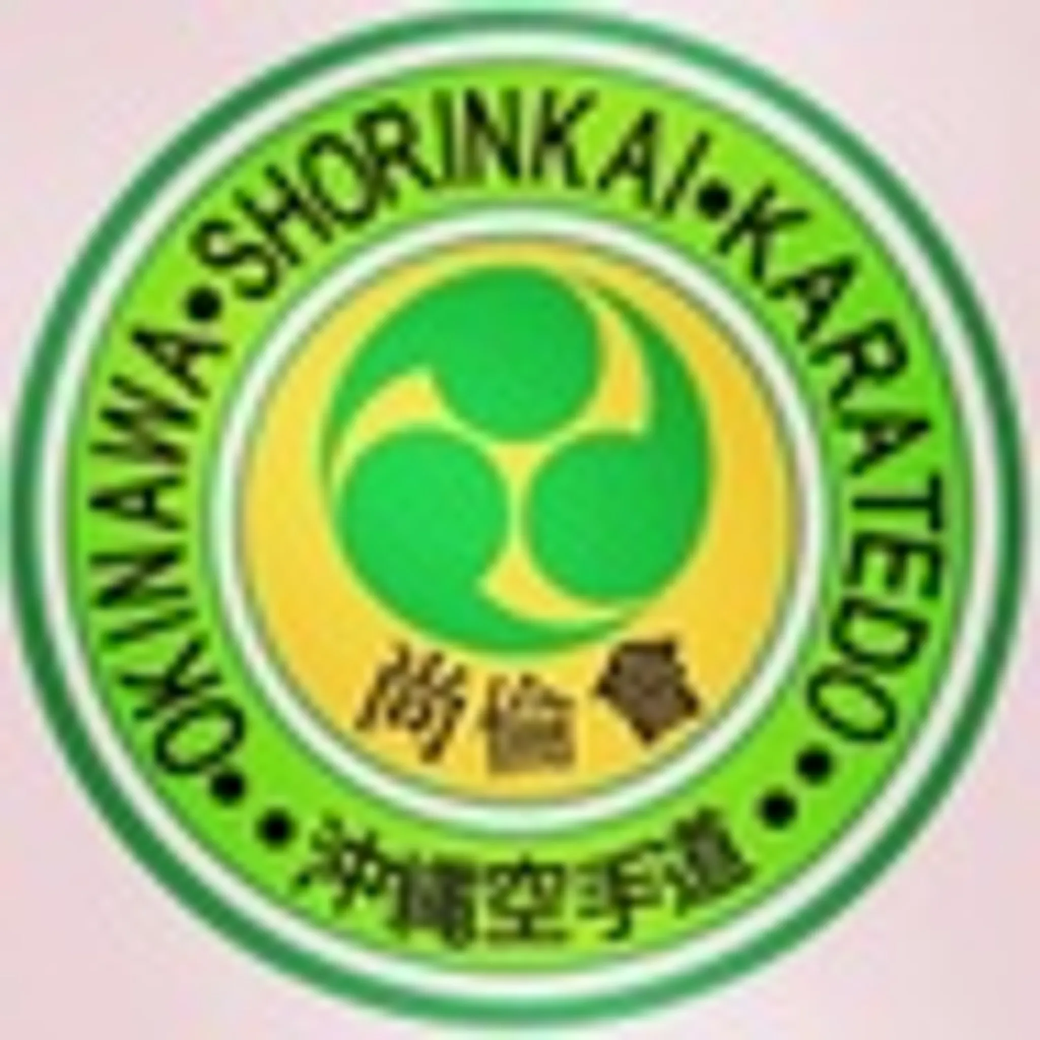 Okinawashorinkai karate cherukulathoor