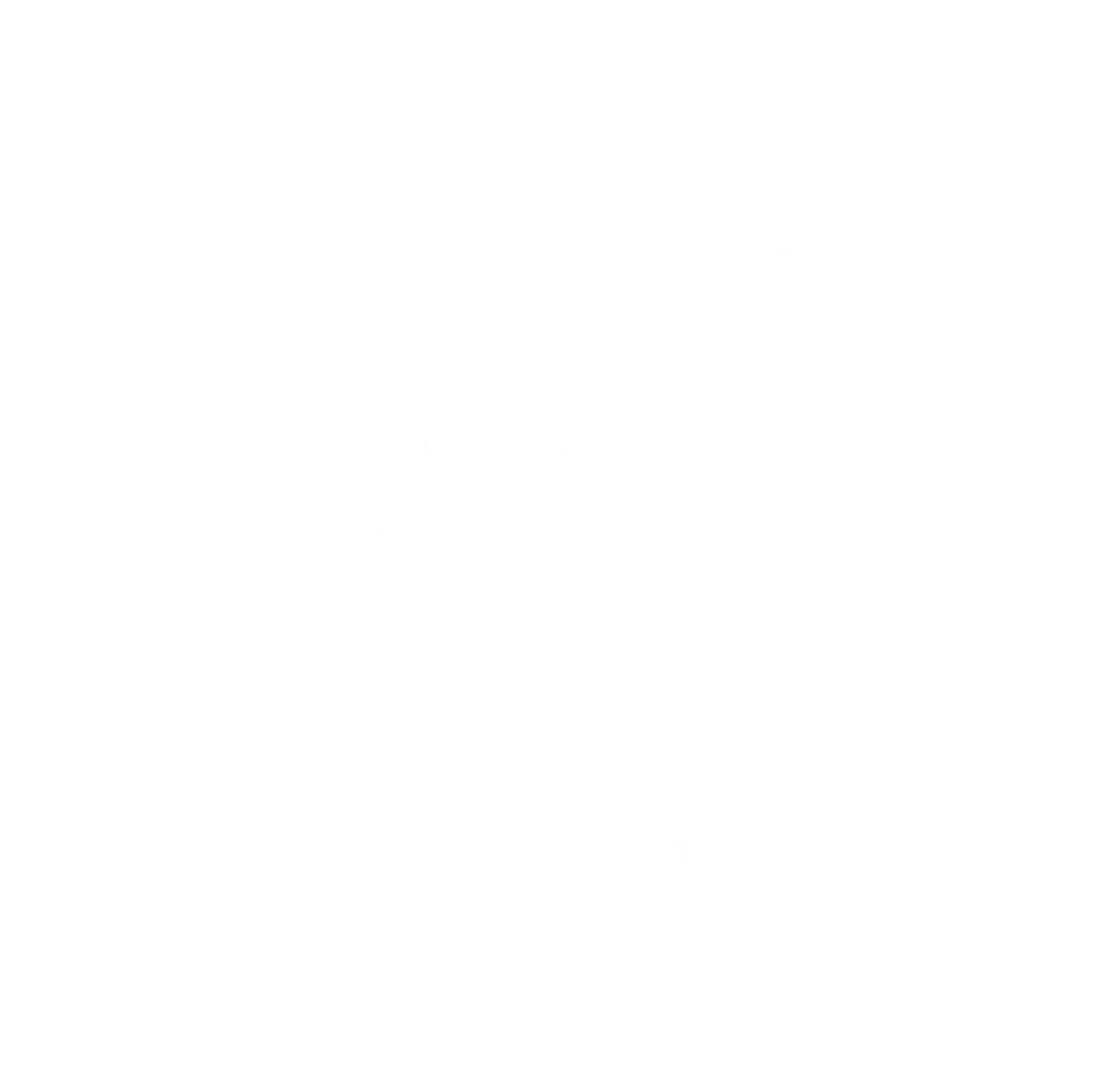 Echo Aloha