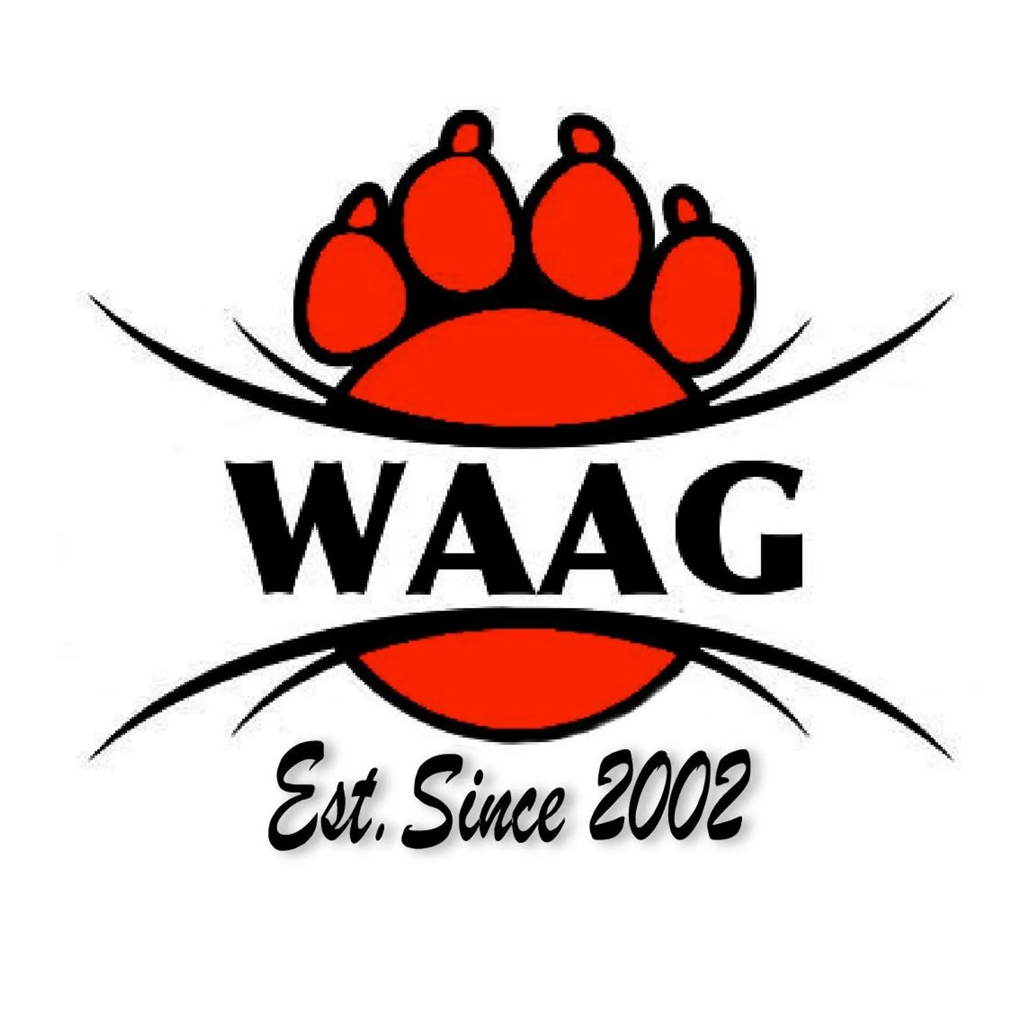 Wild About Agility Gold Coast