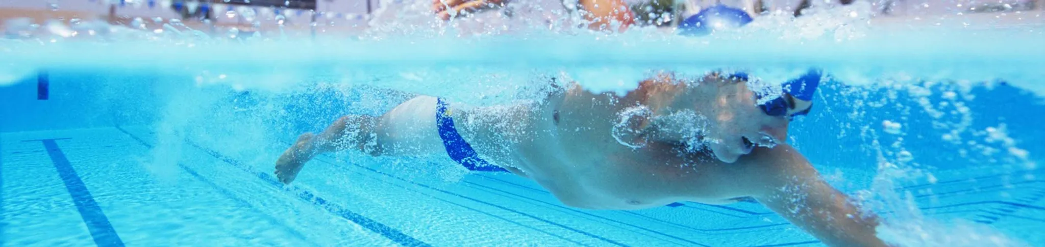 Learn2Swim in Term 4!