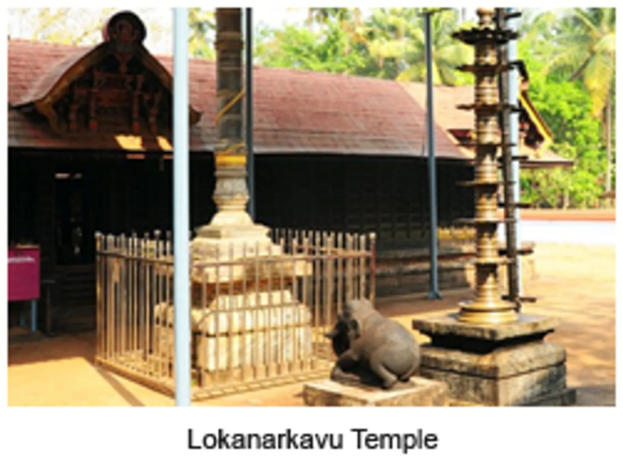 Vallabhatta Kalaripayattu Martial Arts School Ernakulam Branch