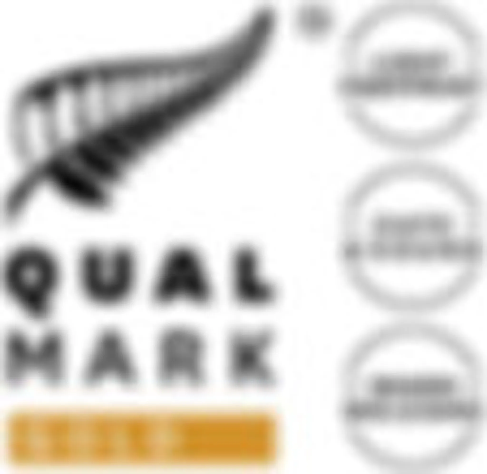 Laser Tag Queenstown