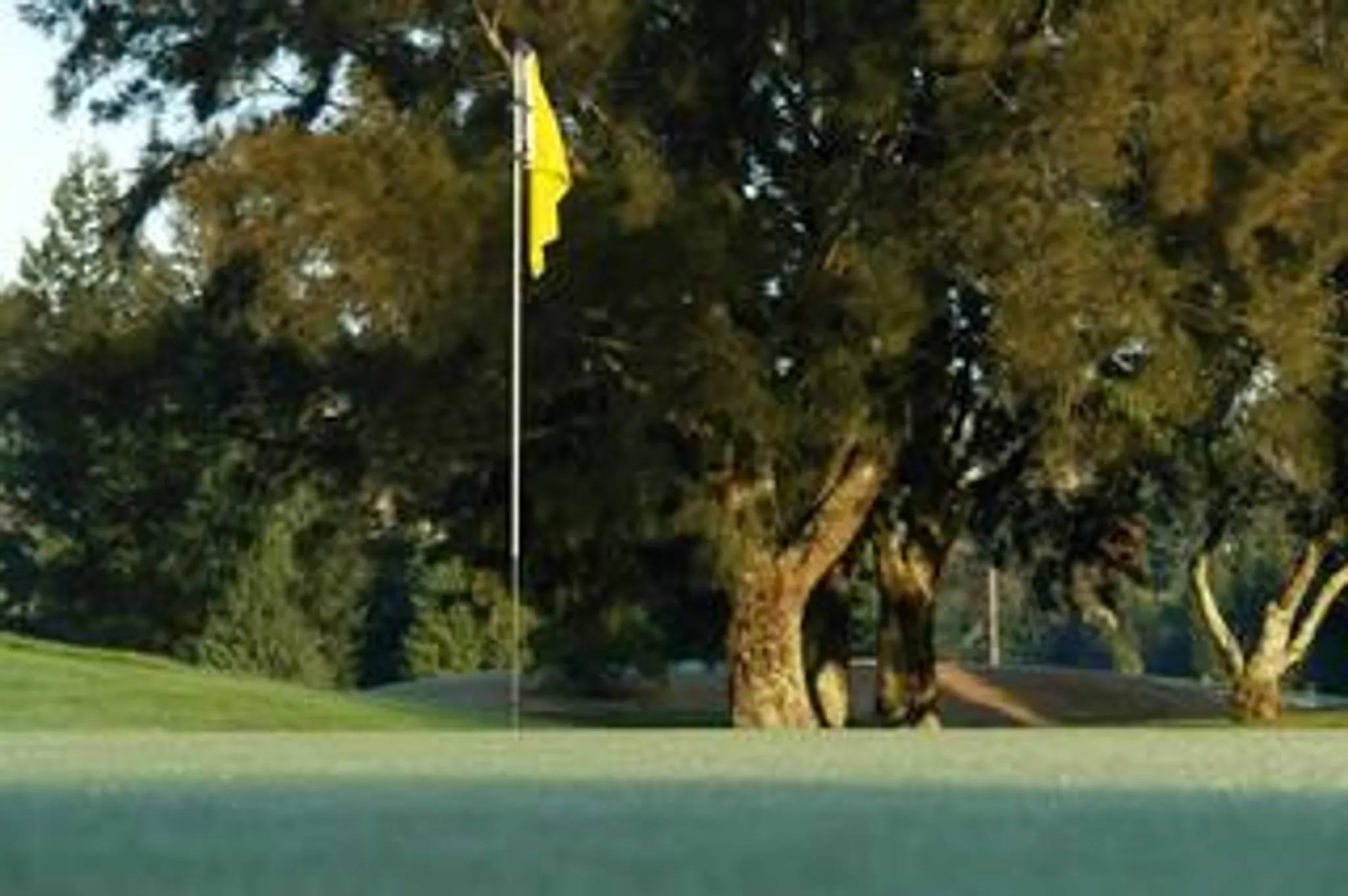 Springfield Golf Club