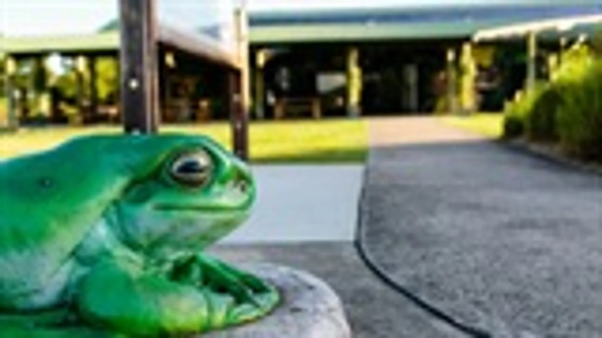 Dayboro Swimming Pool