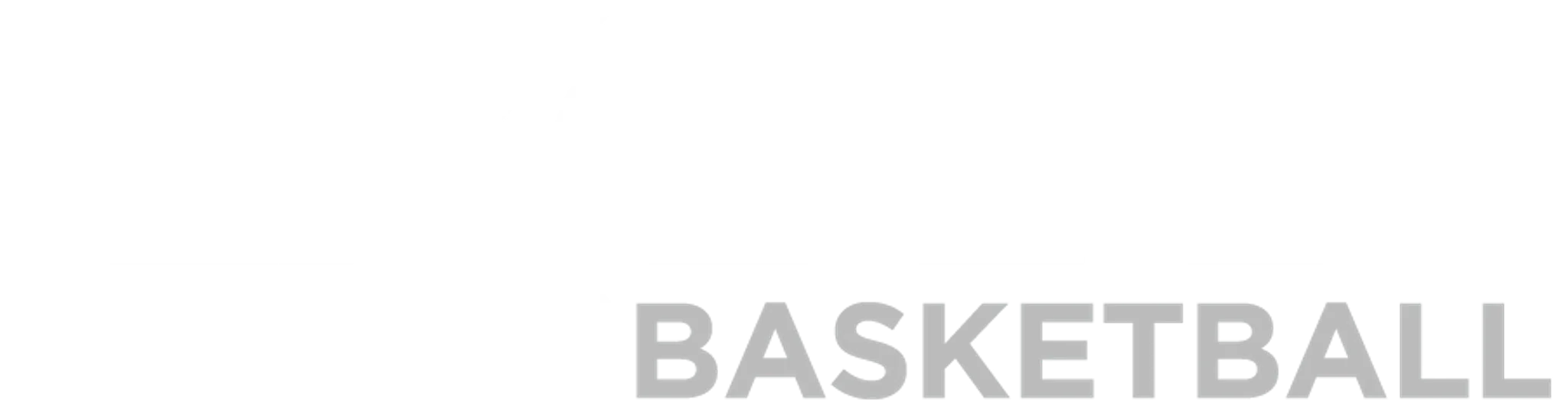 Excel Basketball