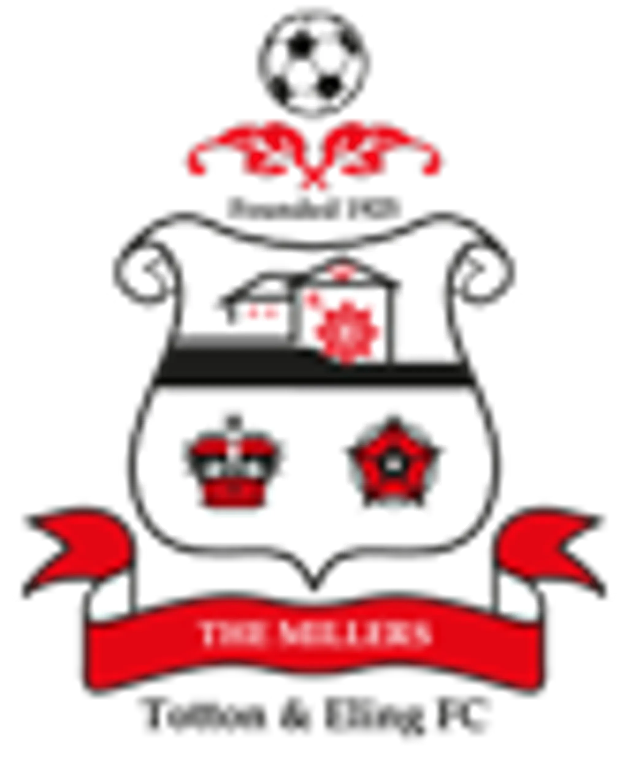 Mini Tigers Football Coaching