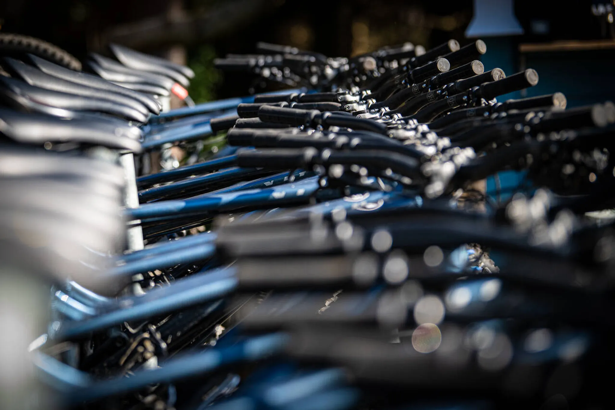 MTB-Ballinastoe Woods,wicklow, ireland