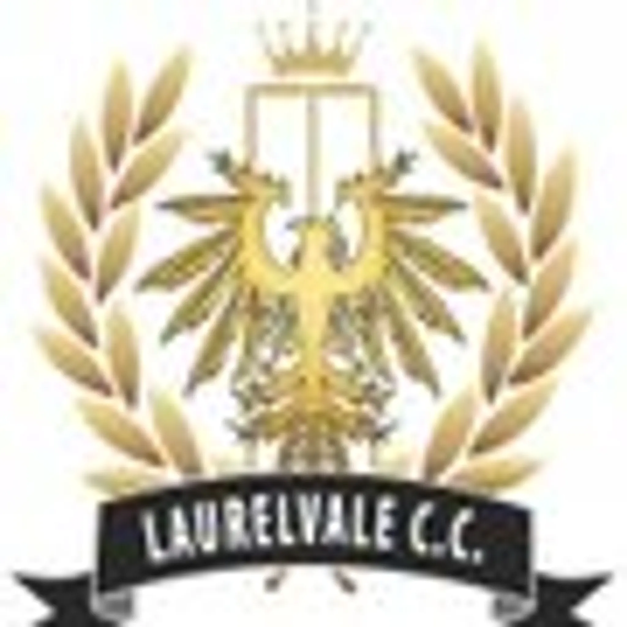 Laurelvale Cricket Club