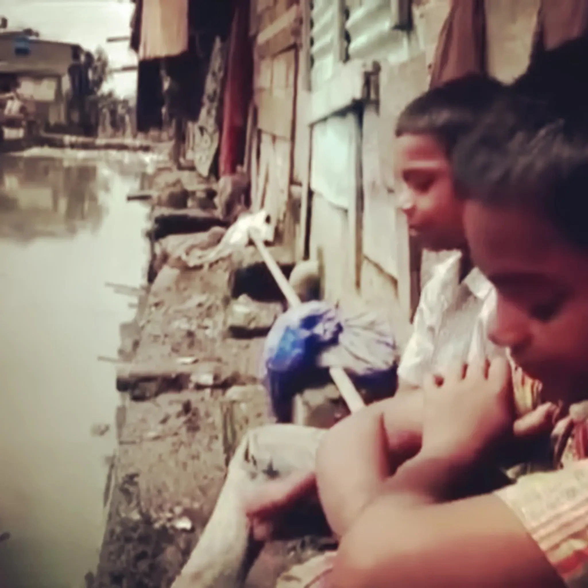 Iyengar Yoga Forest Hill Online and Studio Yoga Classes