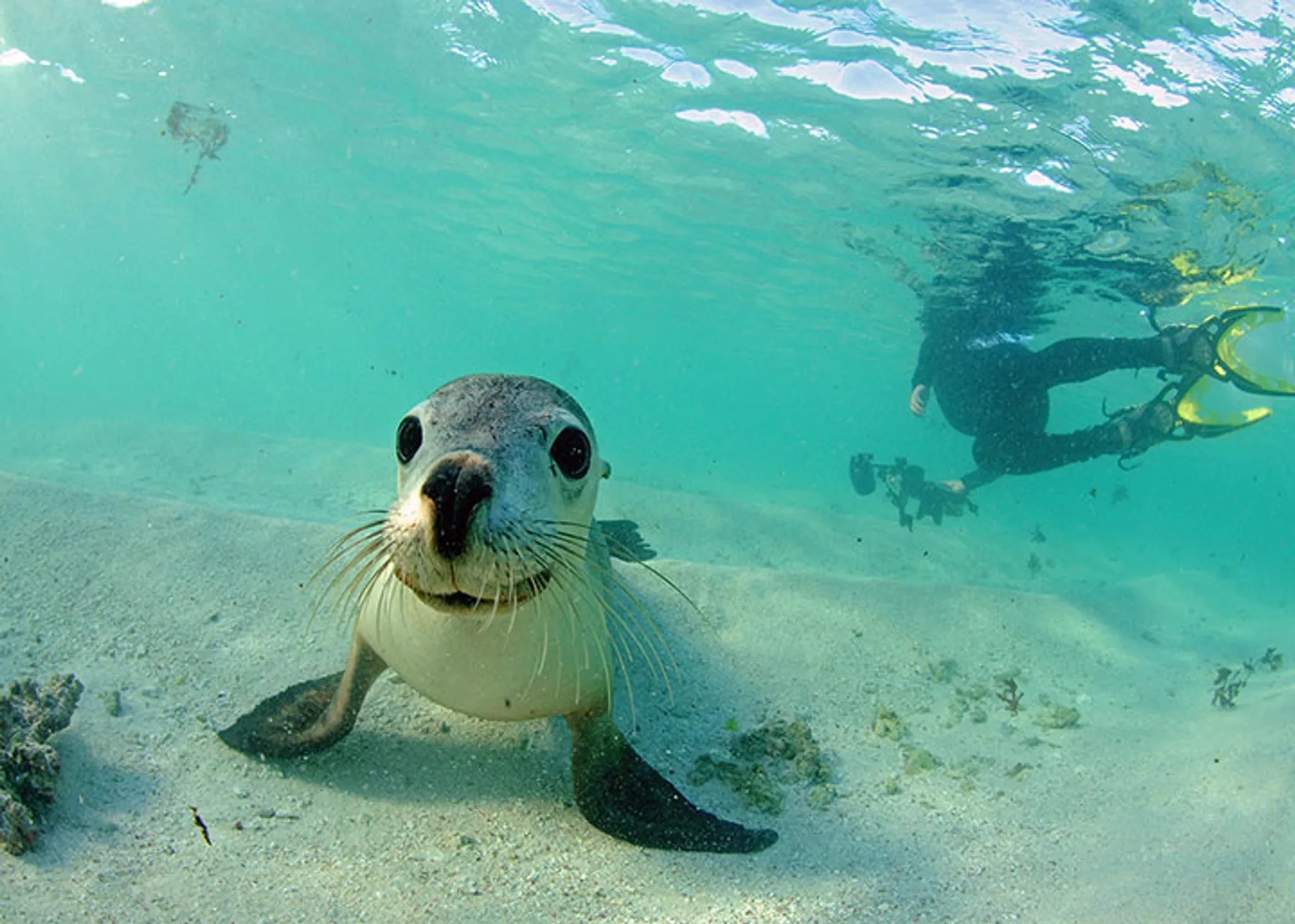 Abrolhos Islands Diving Trip