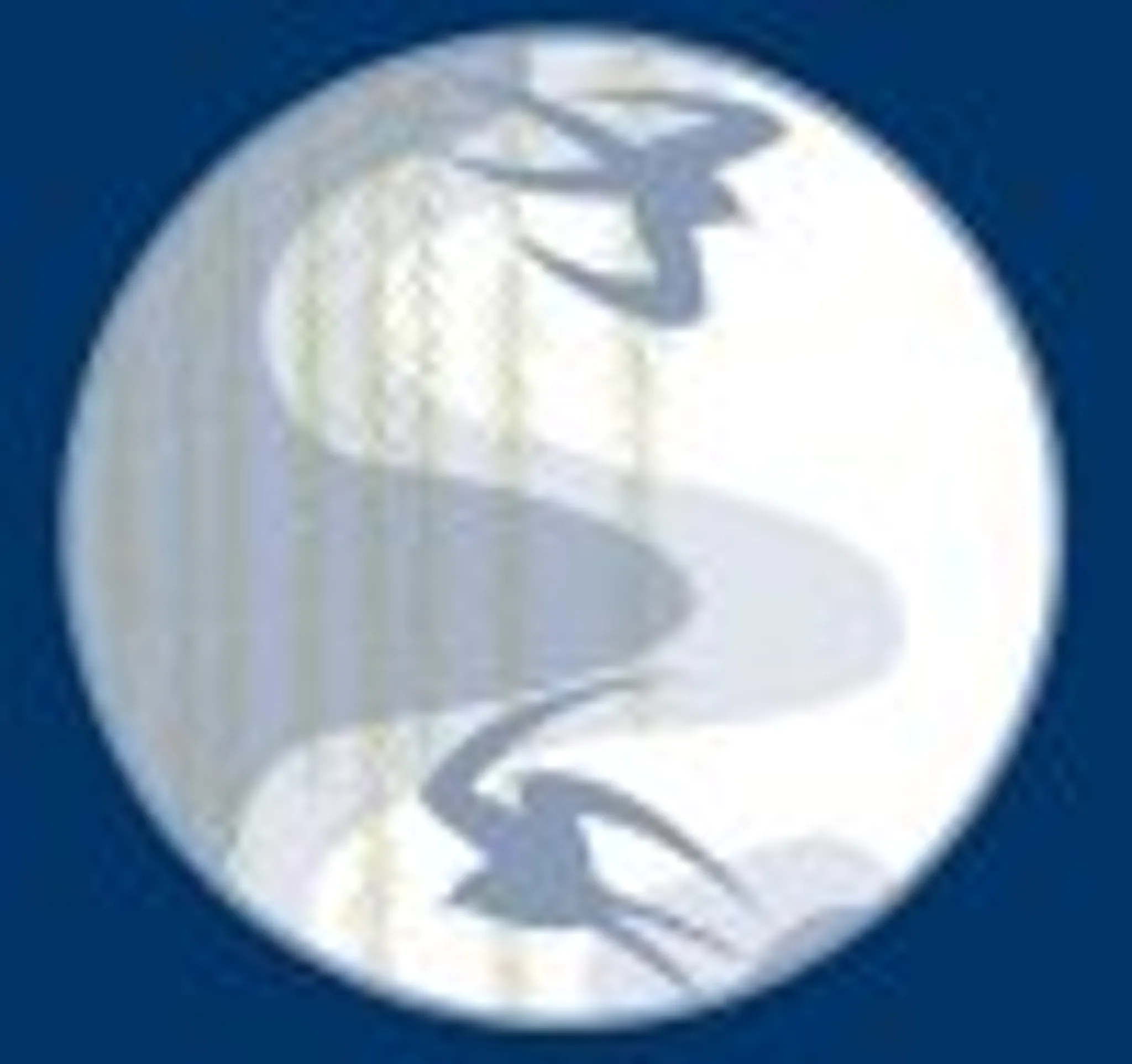 Kyu Shin Do Aikido (North Shore) Inc