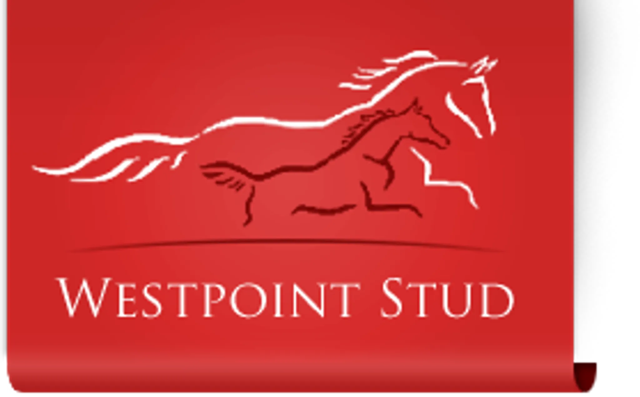Westpoint Stud & AI centre