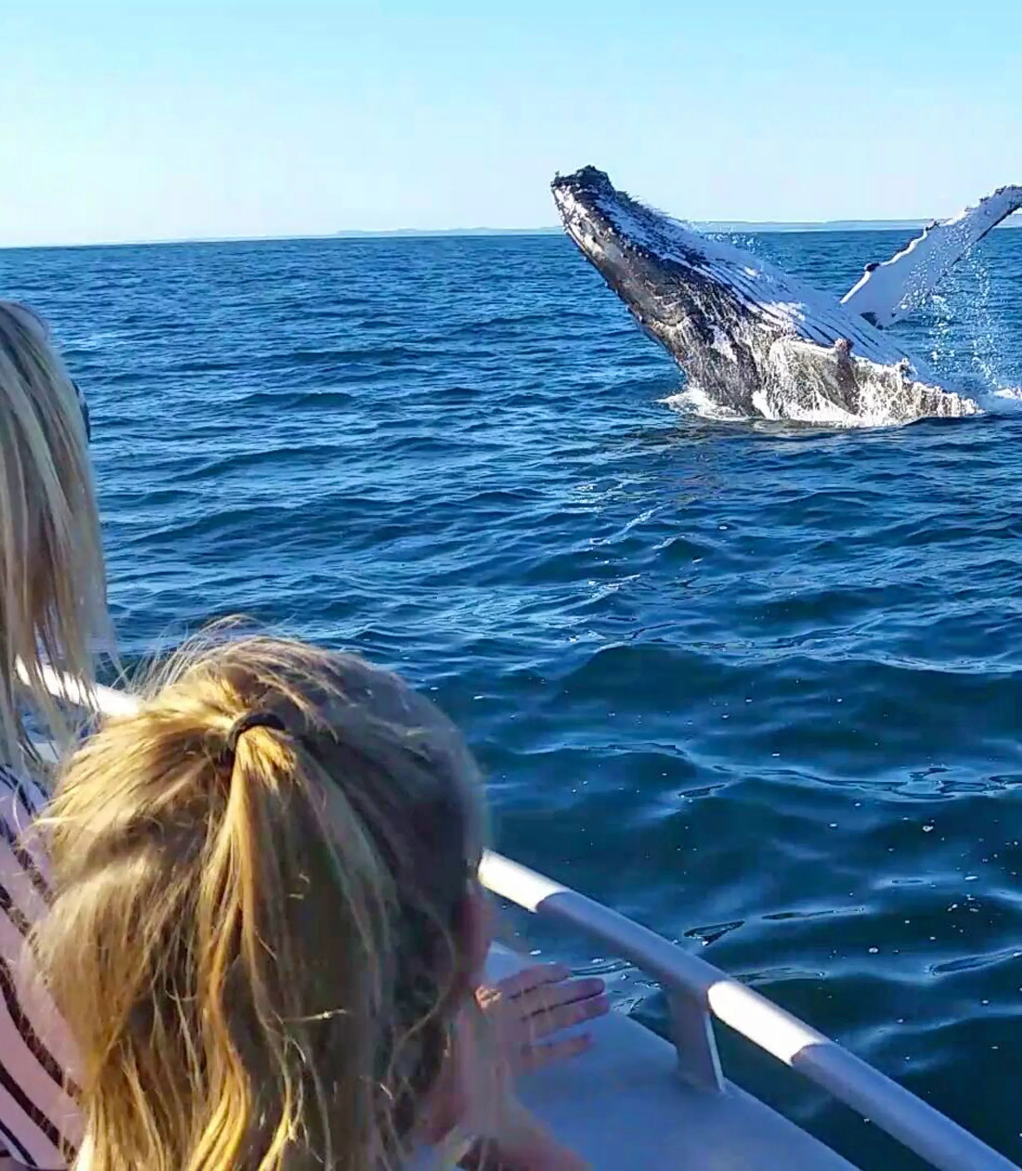 Abrolhos Island Tours with Batavia Sea Safaris