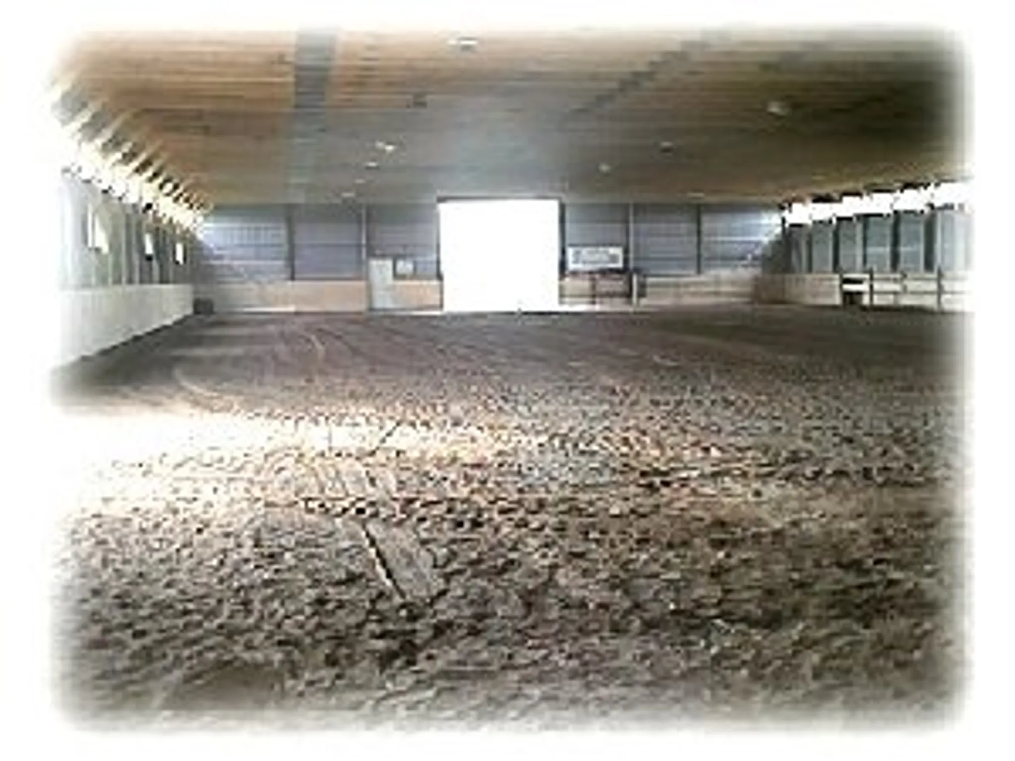 Horse Camp for Boys & Girls