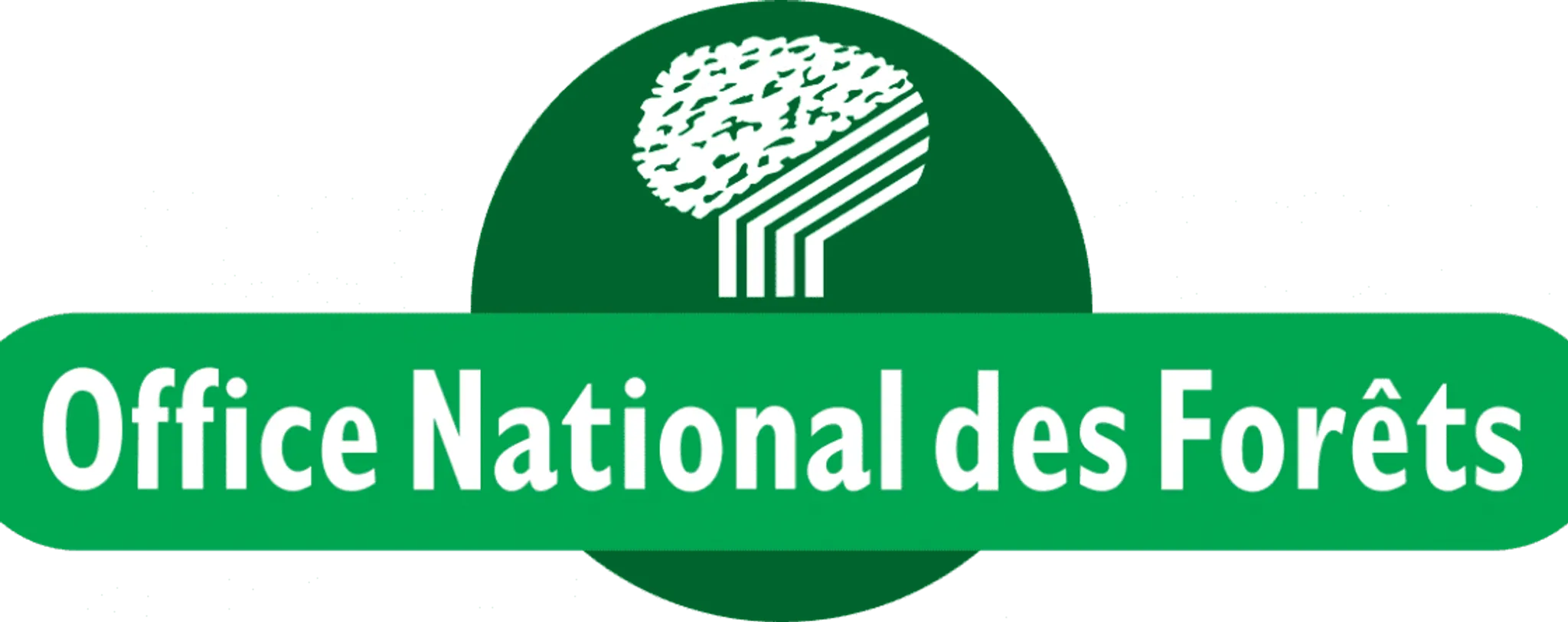 Olympic swimming pool and ice rink