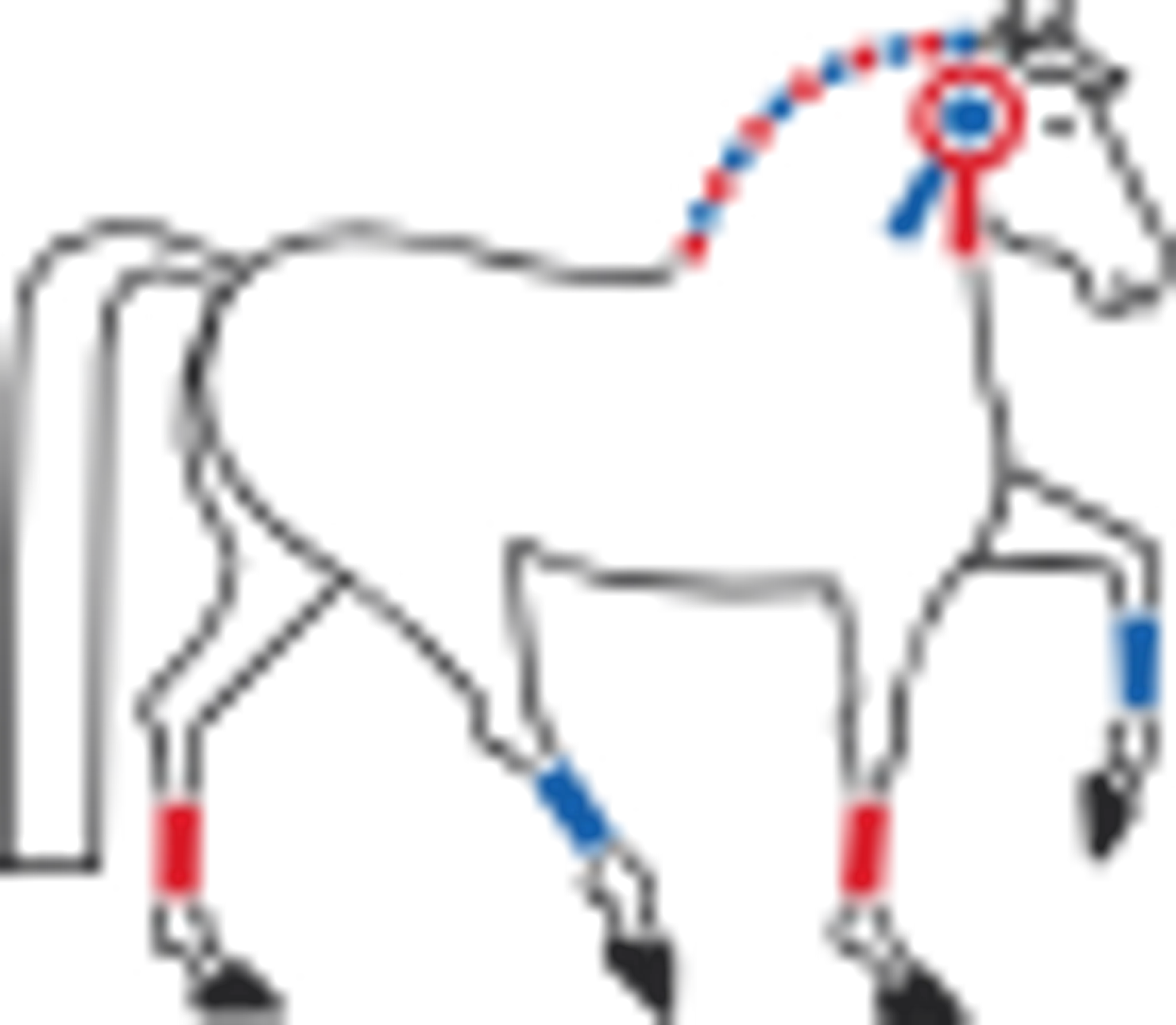 CENTRE EQUESTRE LA MARTELIERE