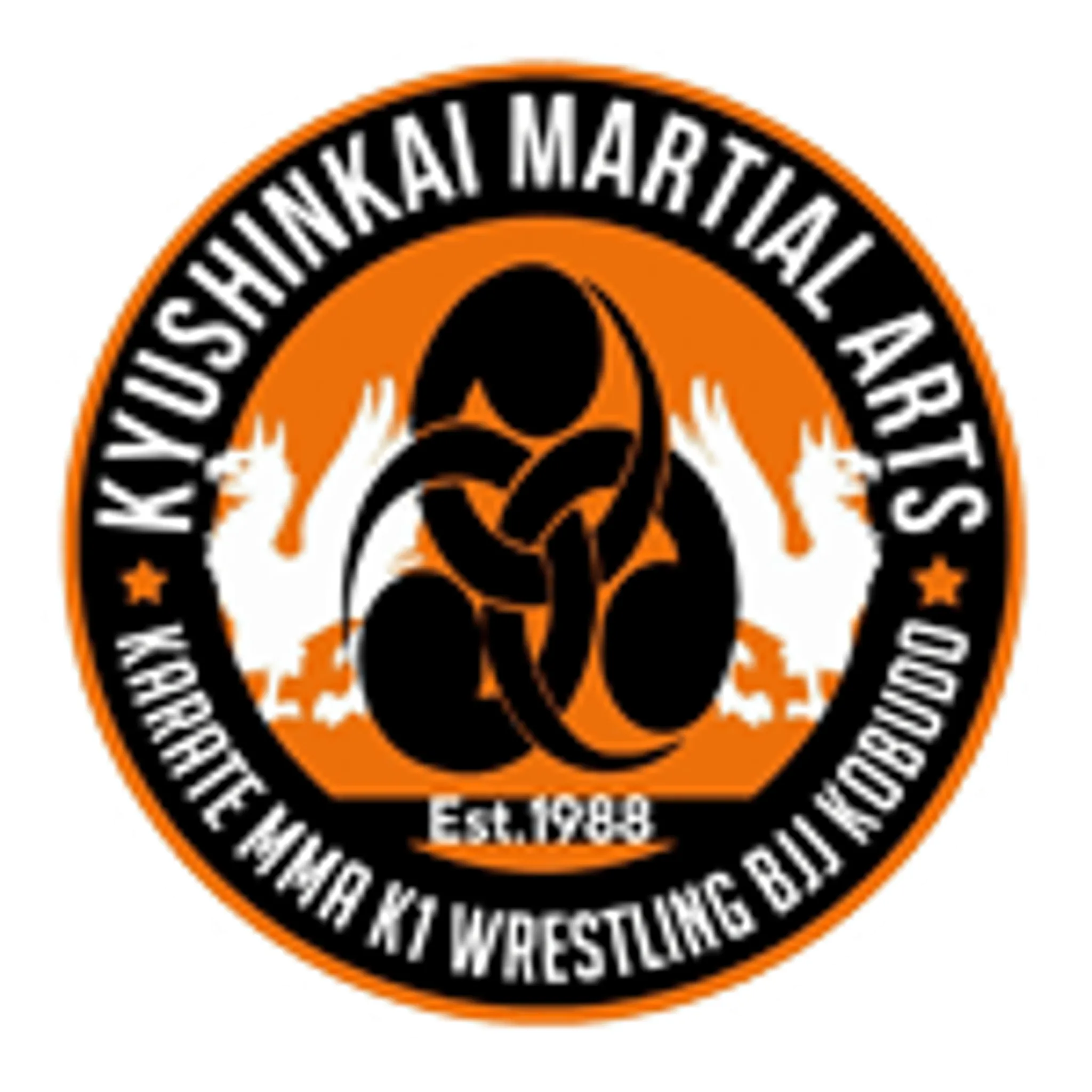 Kyushinkai Martial Arts and Fitness Centre