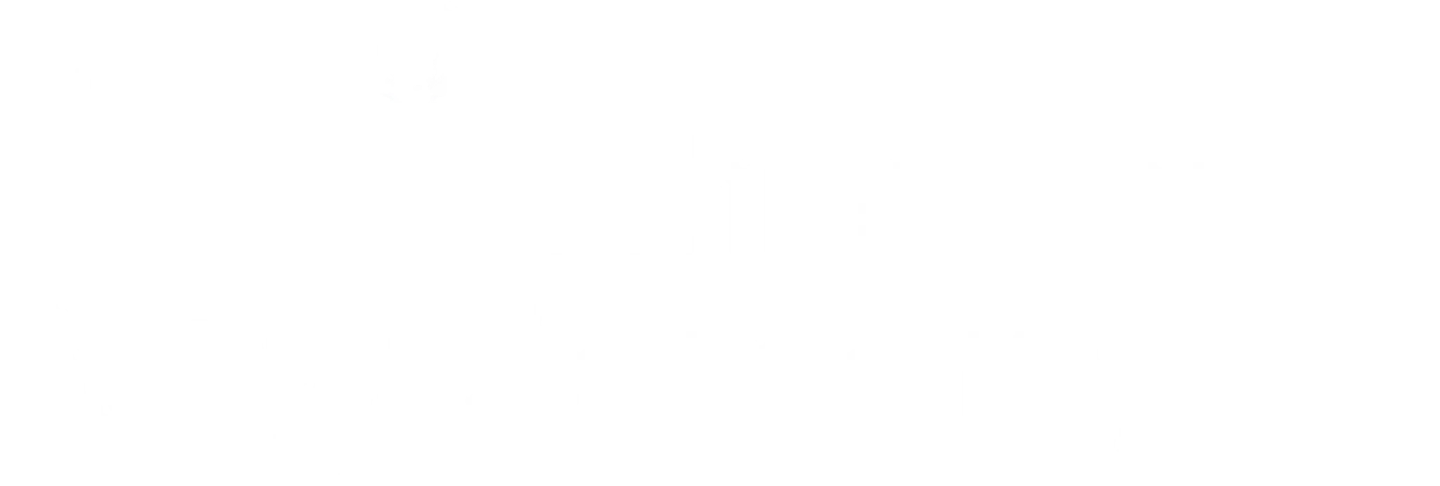 Rohini Chess Academy