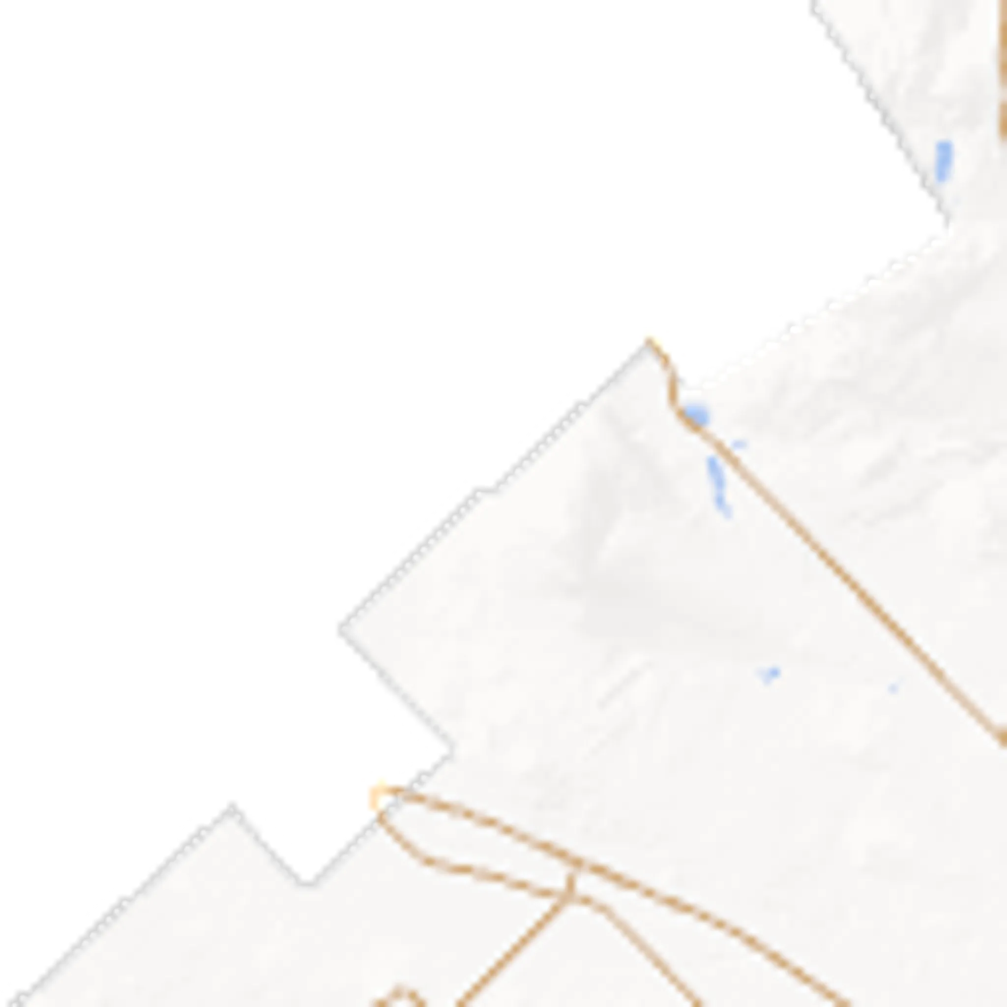 Summer Day Camps 2024