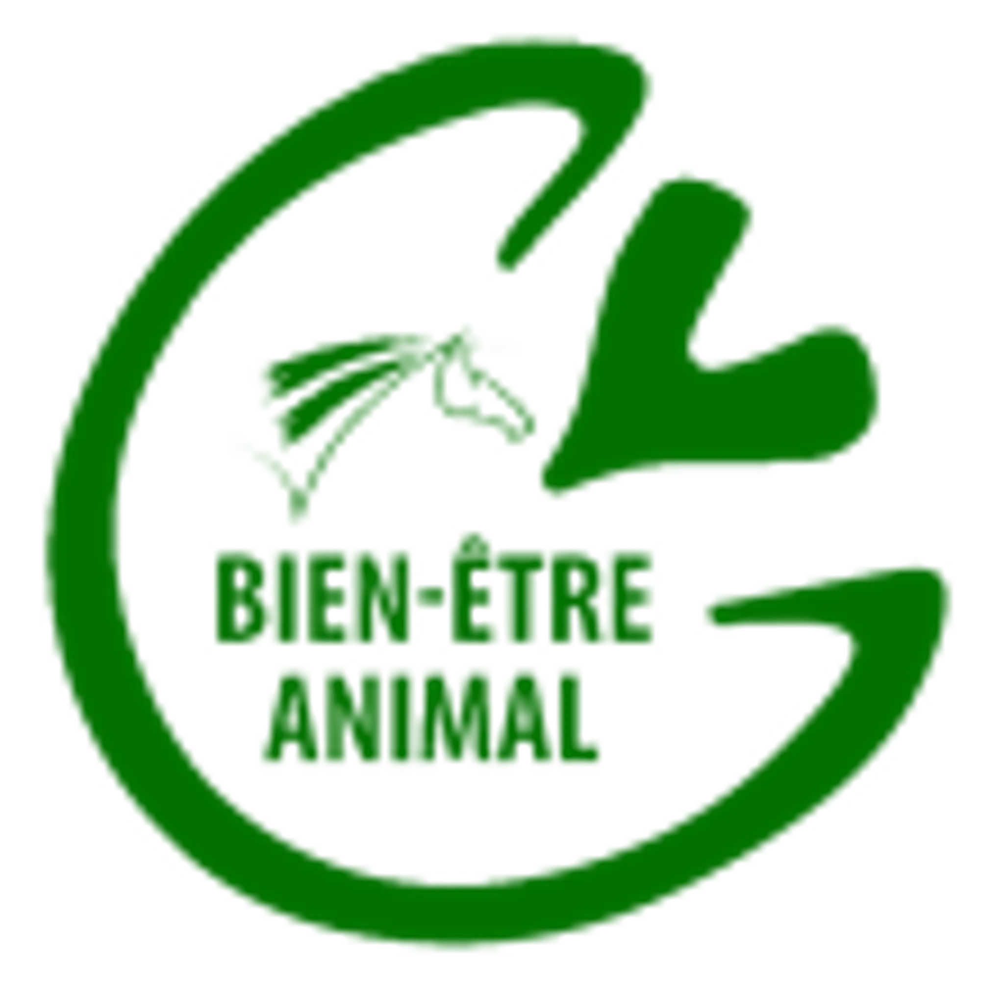 Equestrian Center De Course Les Barres