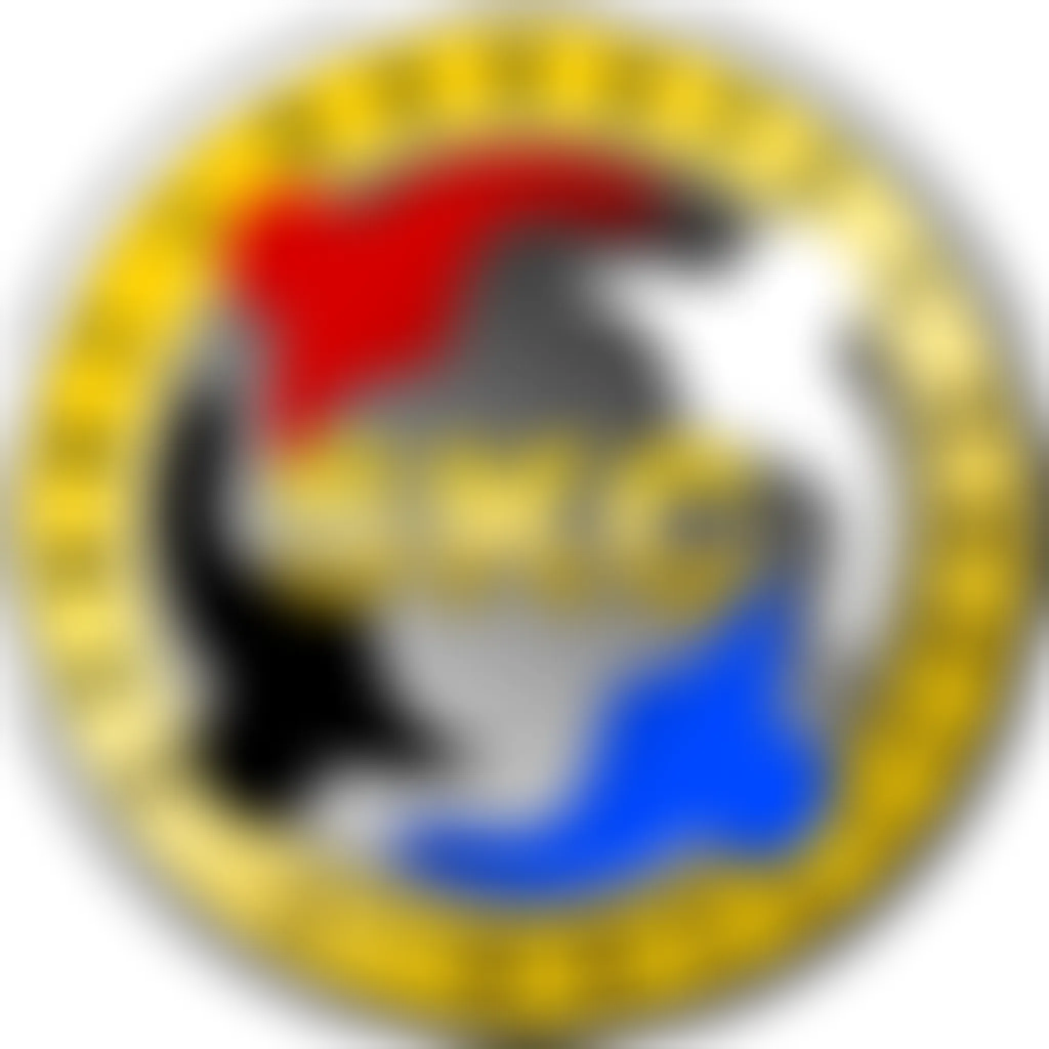 Sport Karate Coalition Balham