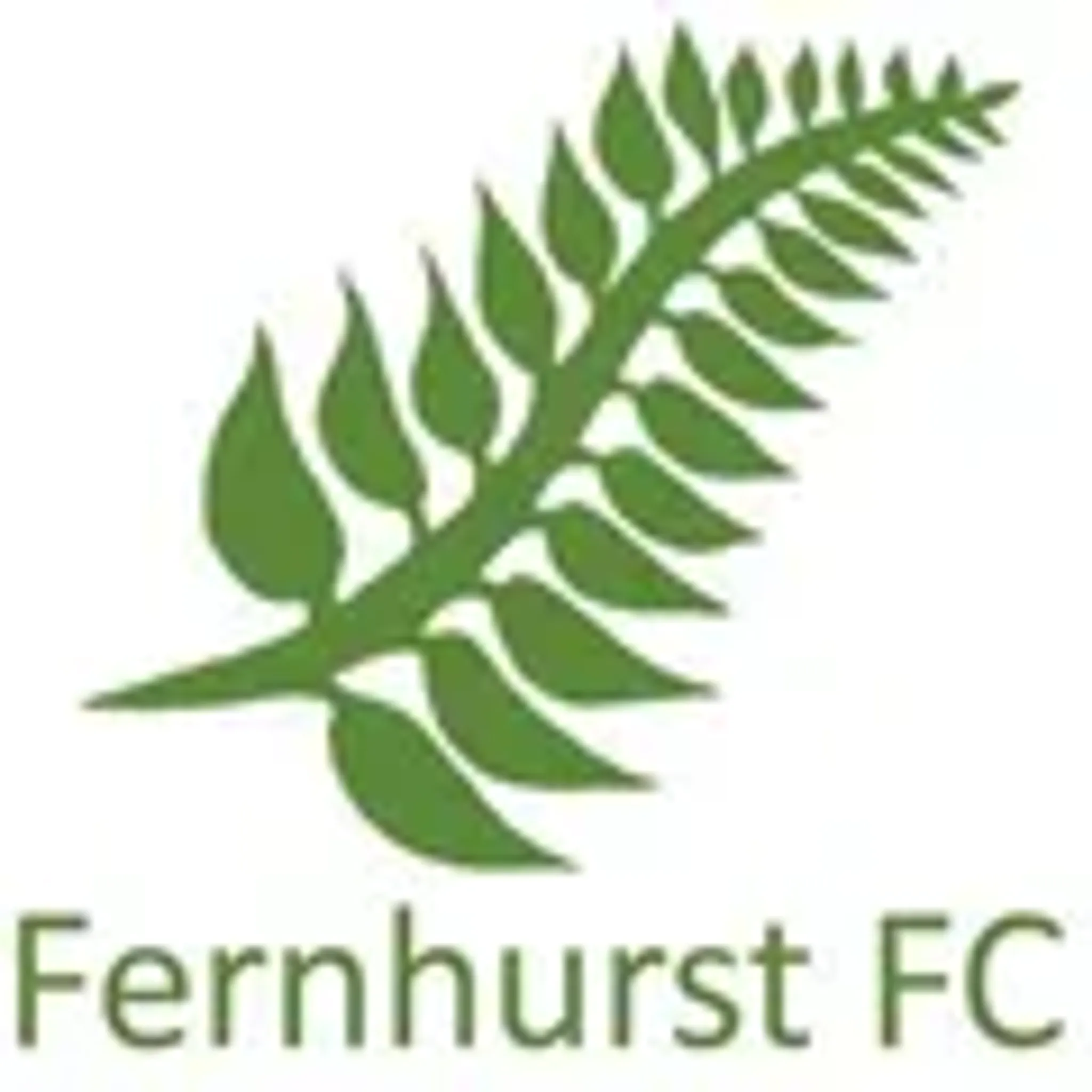 Fernhurst Football Club